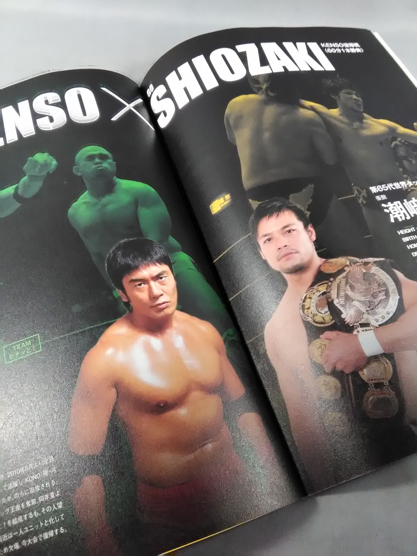 2013プロレスLOVE in 両国 ~an abiding belief~
