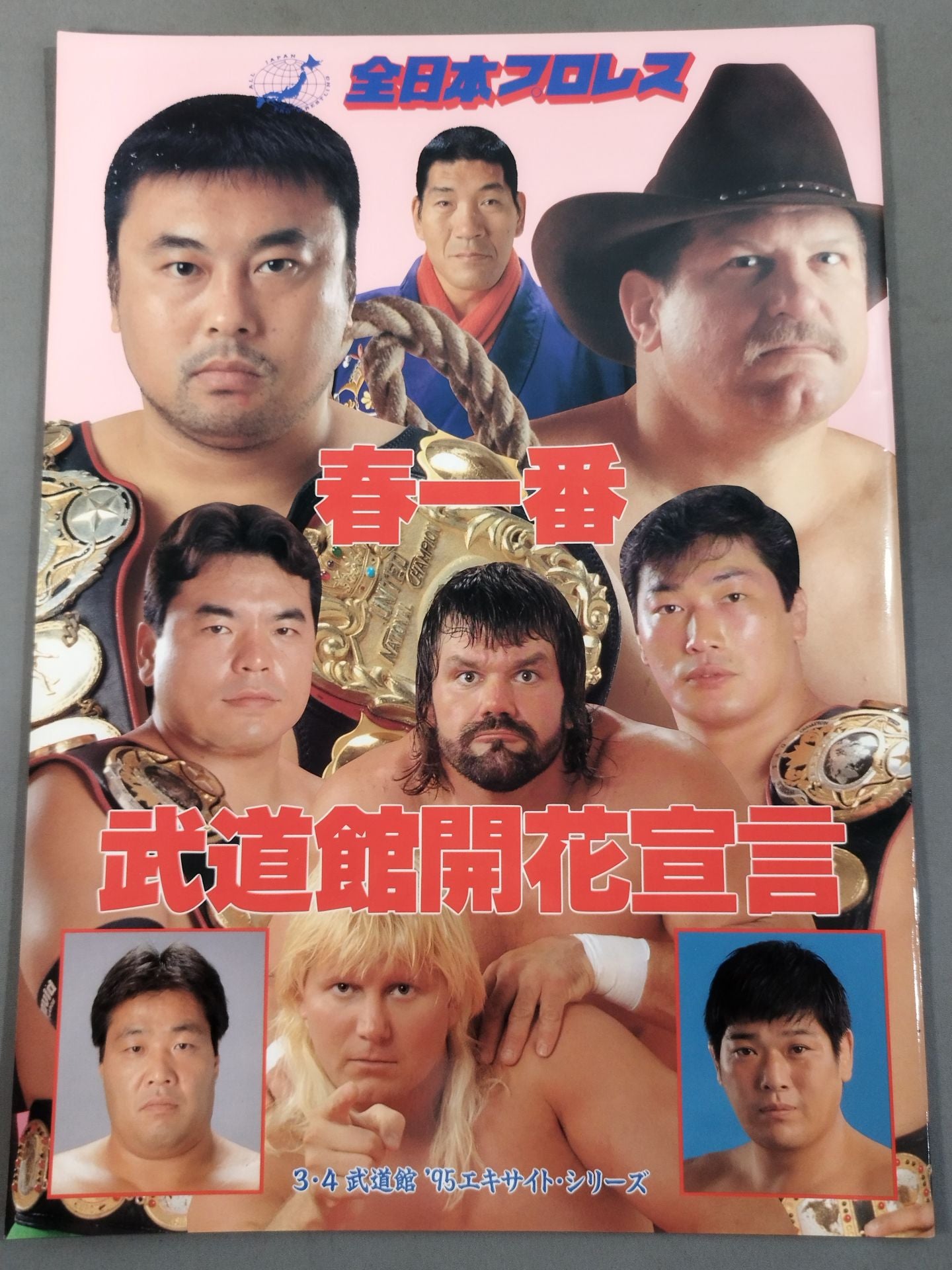 95エキサイト・シリーズ / 春一番 武道館開花宣言