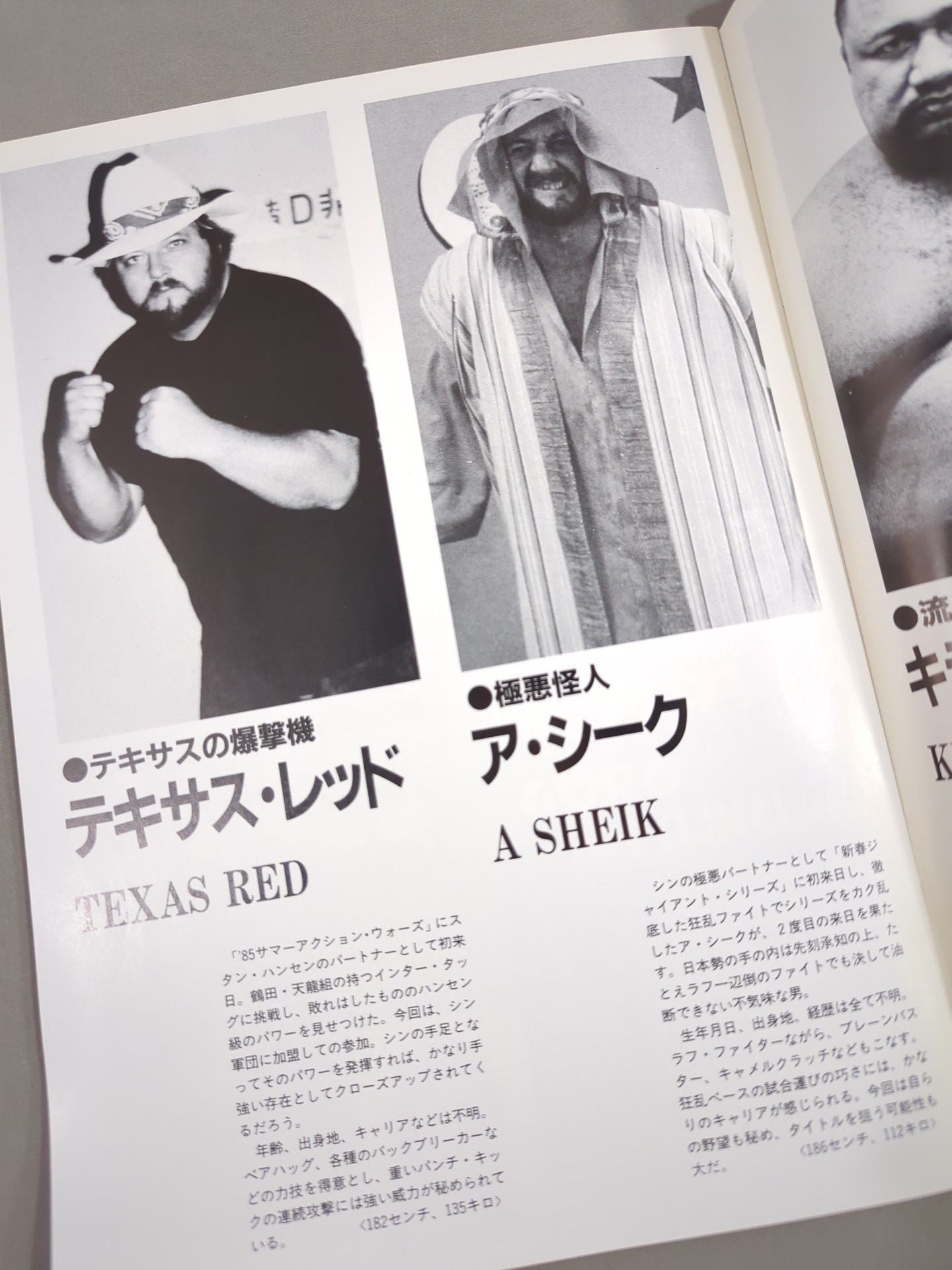 ★輪島vsアニマル★ 創立15周年記念 87スーパーパワー・シリーズ