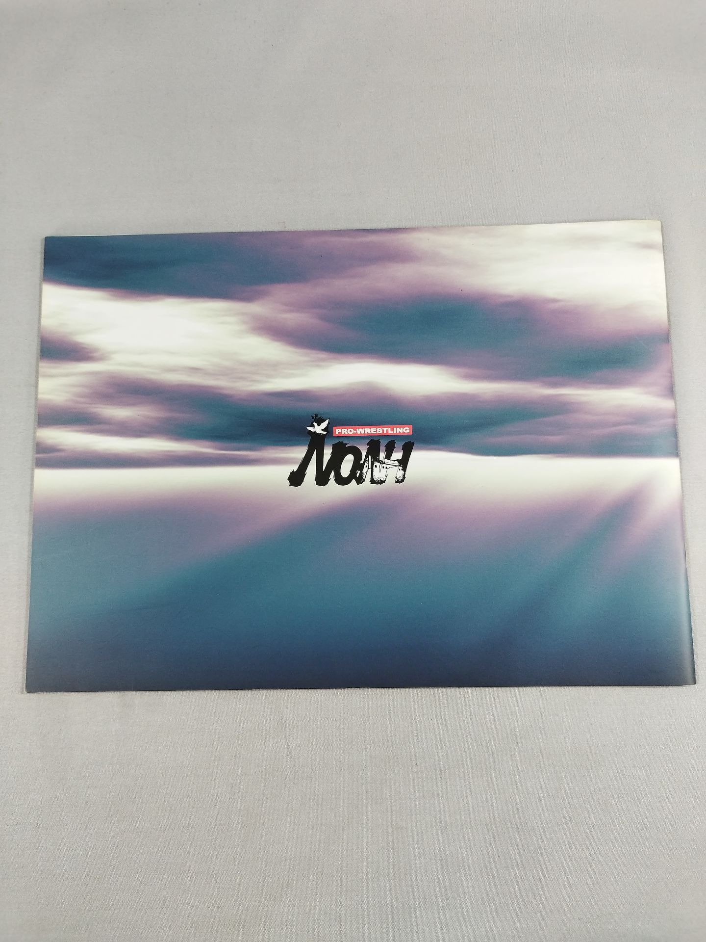 Encountering Navigation 2002