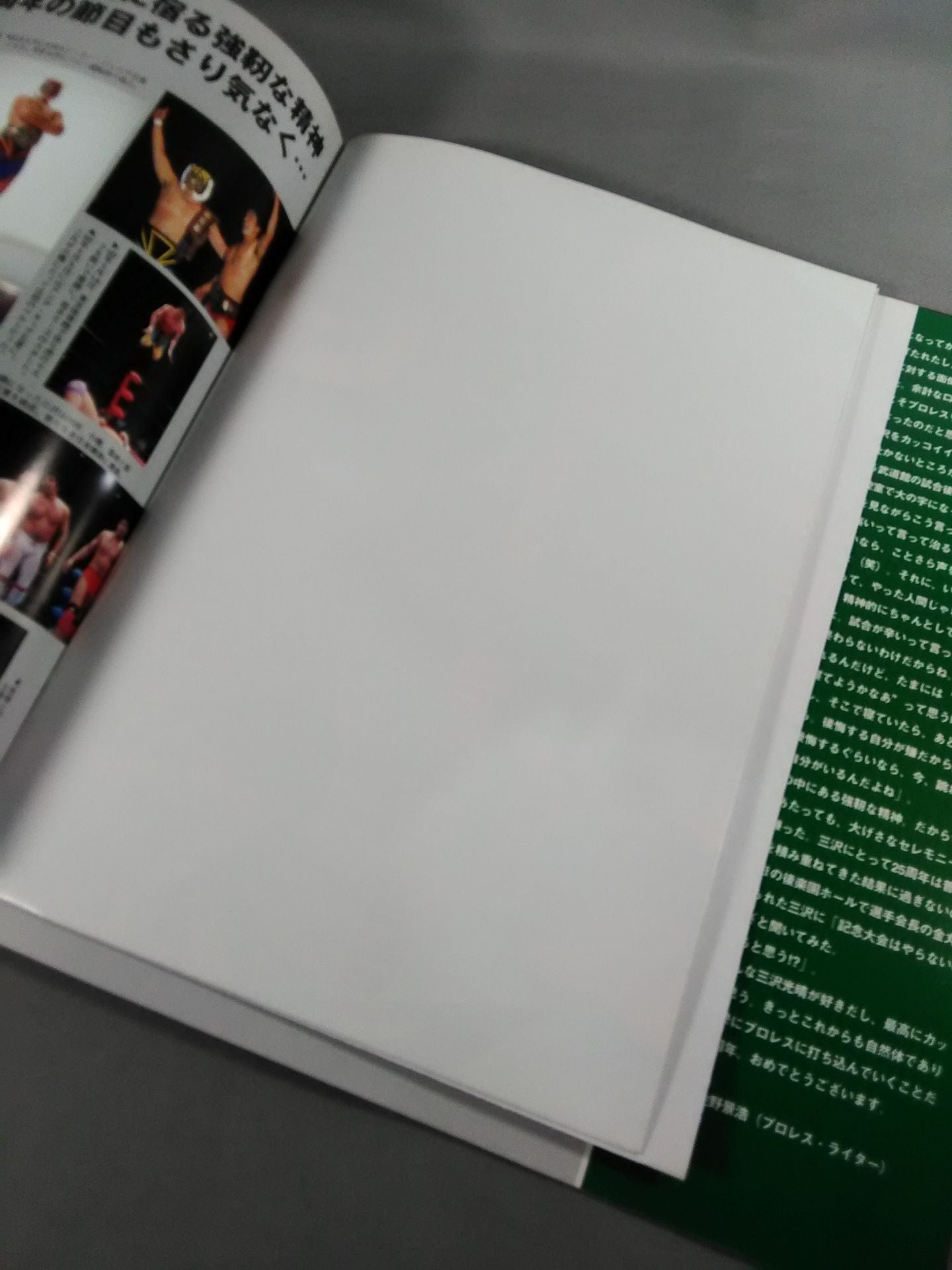 2006 Shiny Navigation / 日本武道館大会