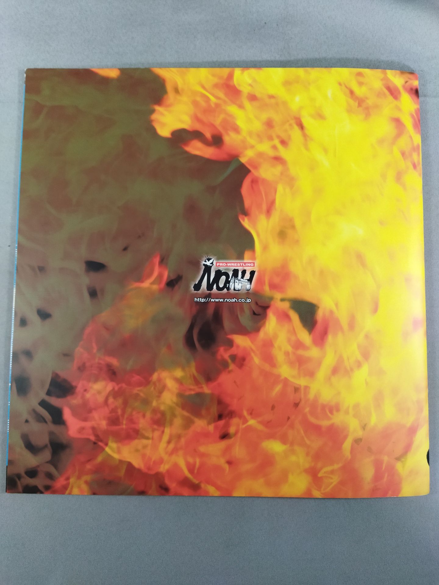 2007 Navigate for Evolution / Japan Budokan Tournament