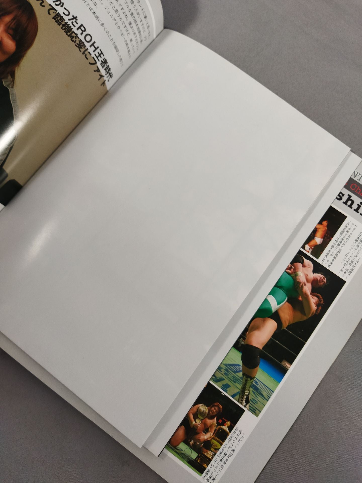 2008グローバル・タッグリーグ戦 / GLOBAL TAG TEAM LEAGUE08