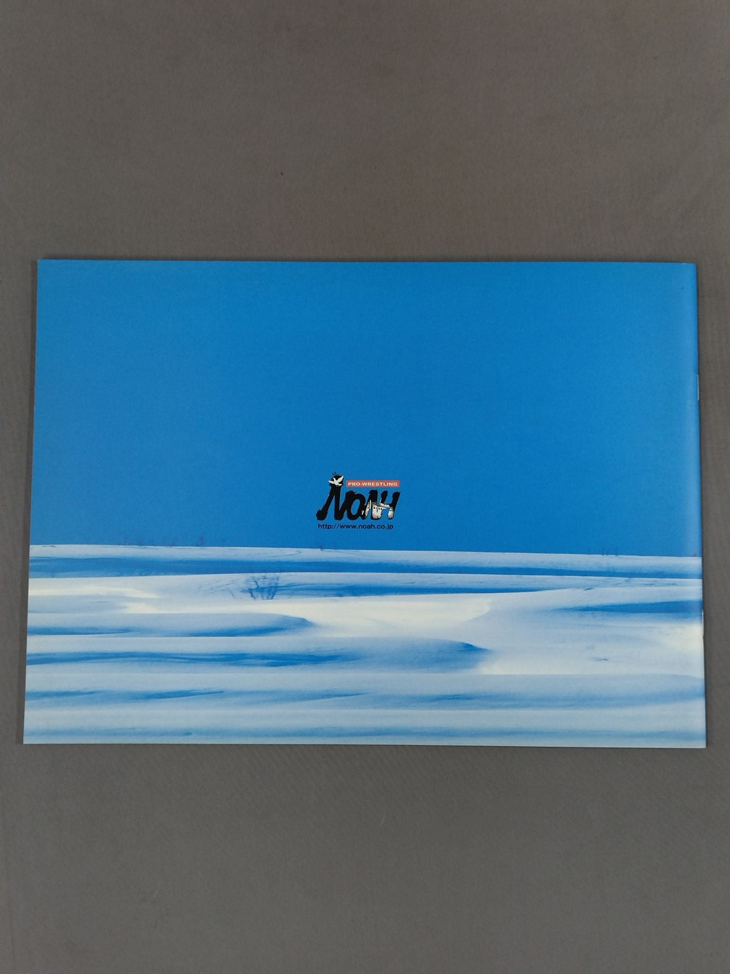 2007 Winter Navigation