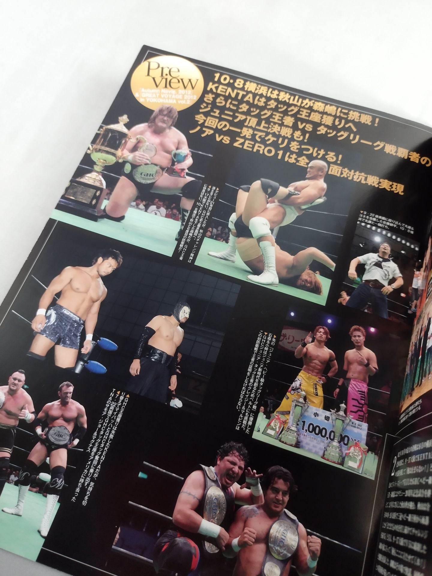 Pro-wrestling Noah 2012 Vol.9