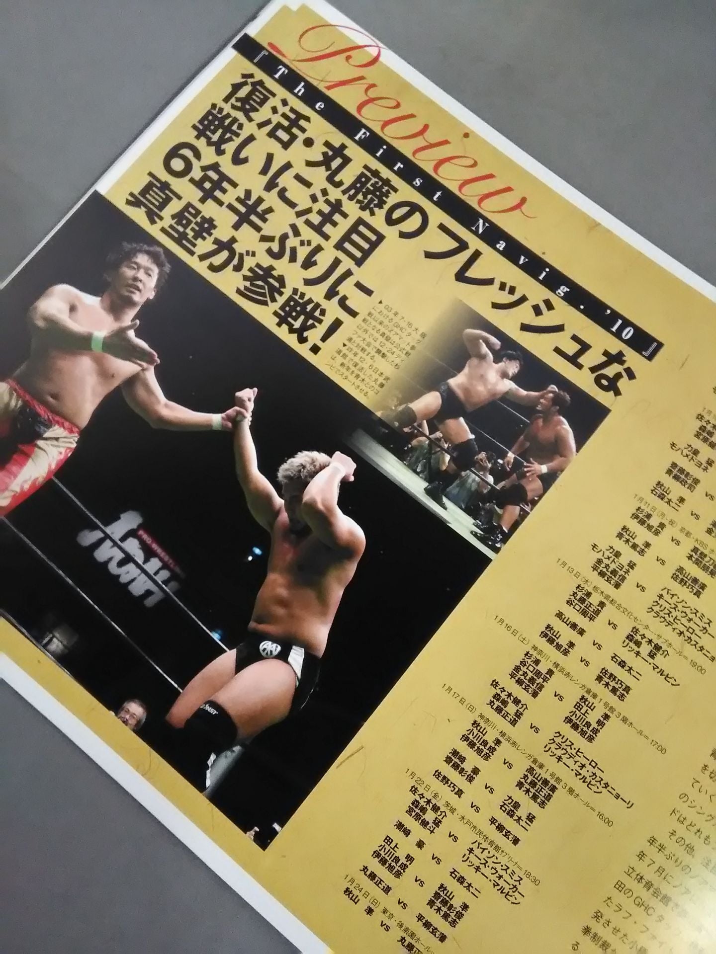 2010グローバルタッグリーグ戦 / The First Navig’10