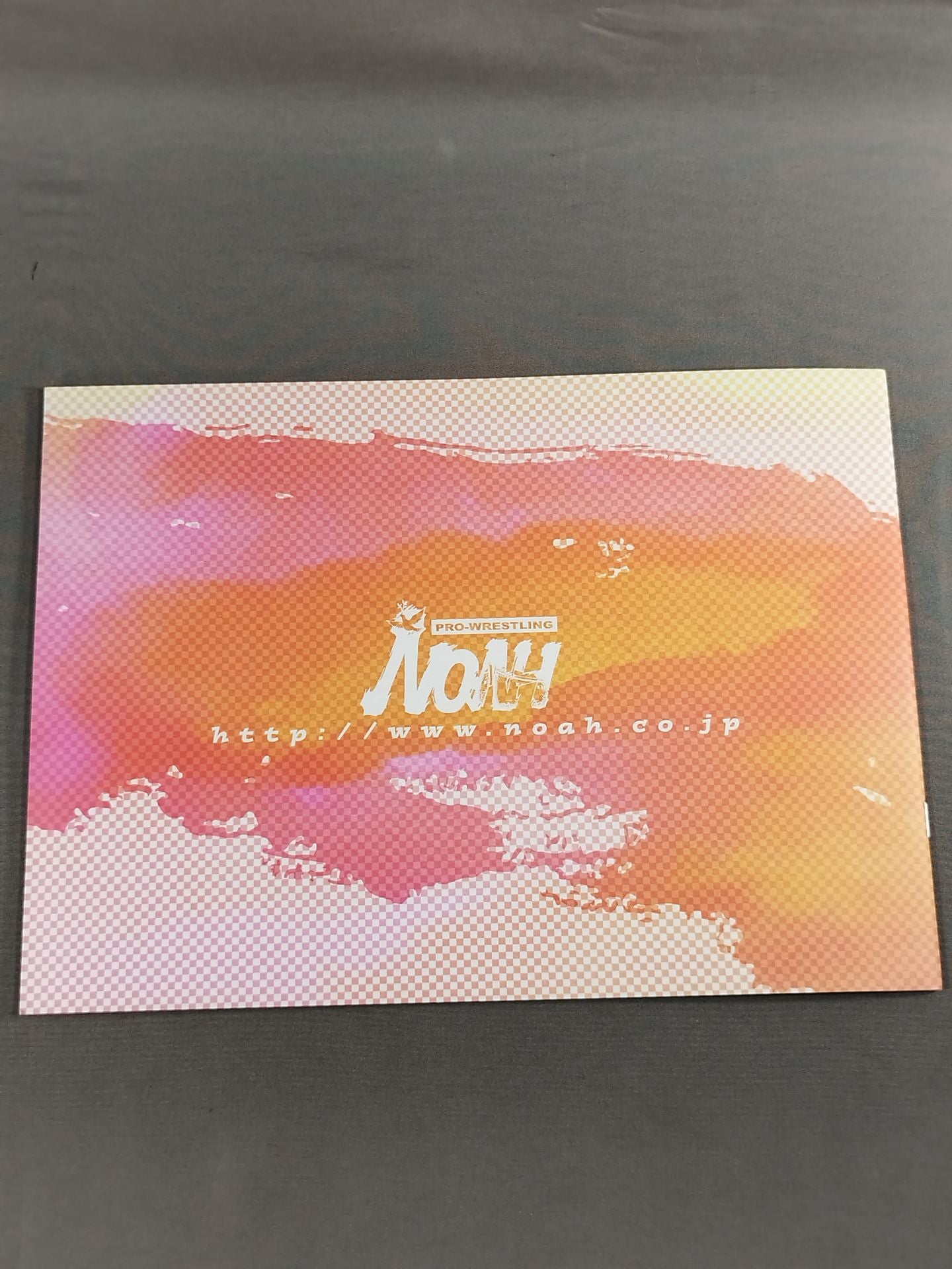 [2 fighters hand signed autograph 】SPRING NAVIGATION’06