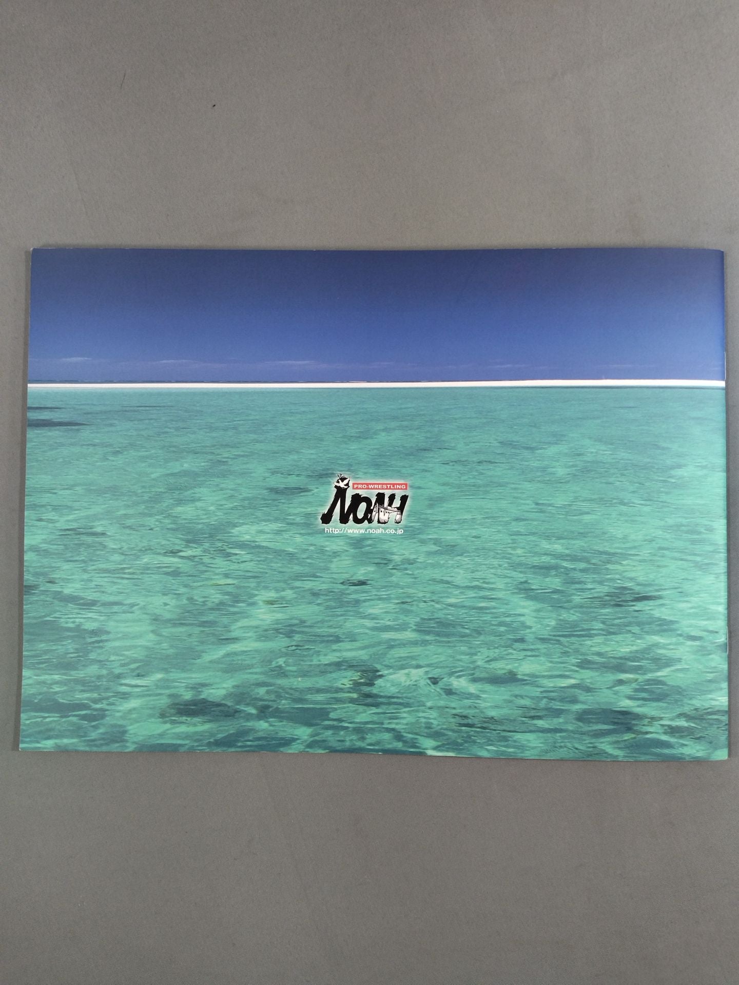 ★ ★ Championship match Summer Navig.'09 The 3rd Nippon TV Cup Junior Heavyweight Tag League Match