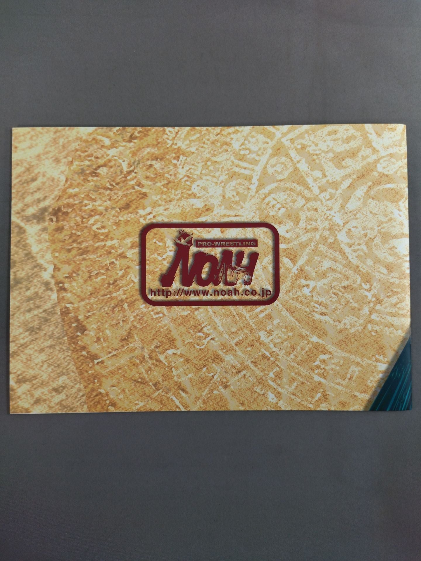 SHINY NAVIGATION’07 VIVA MEXICO 2