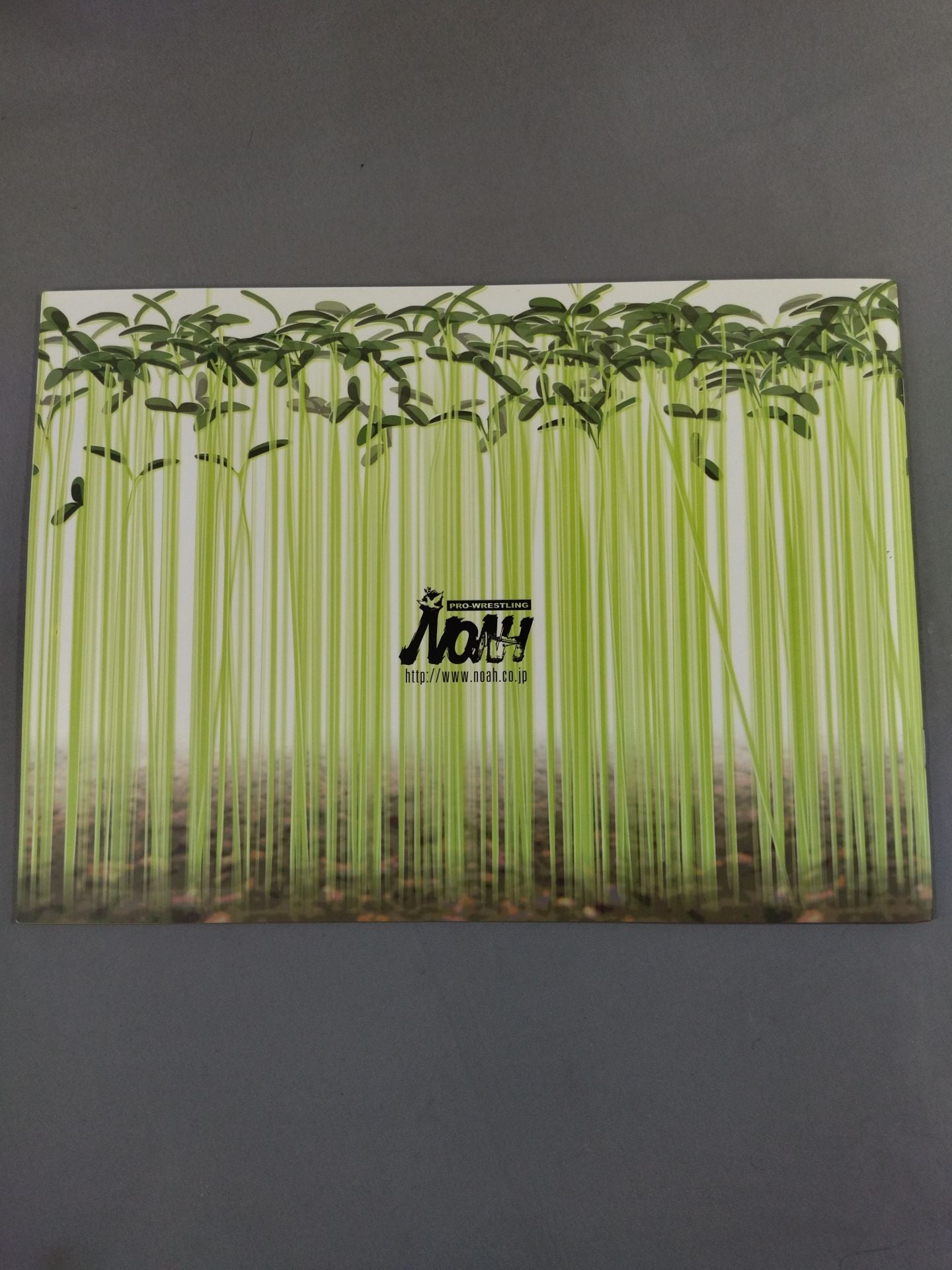 2007 Spring Navigation