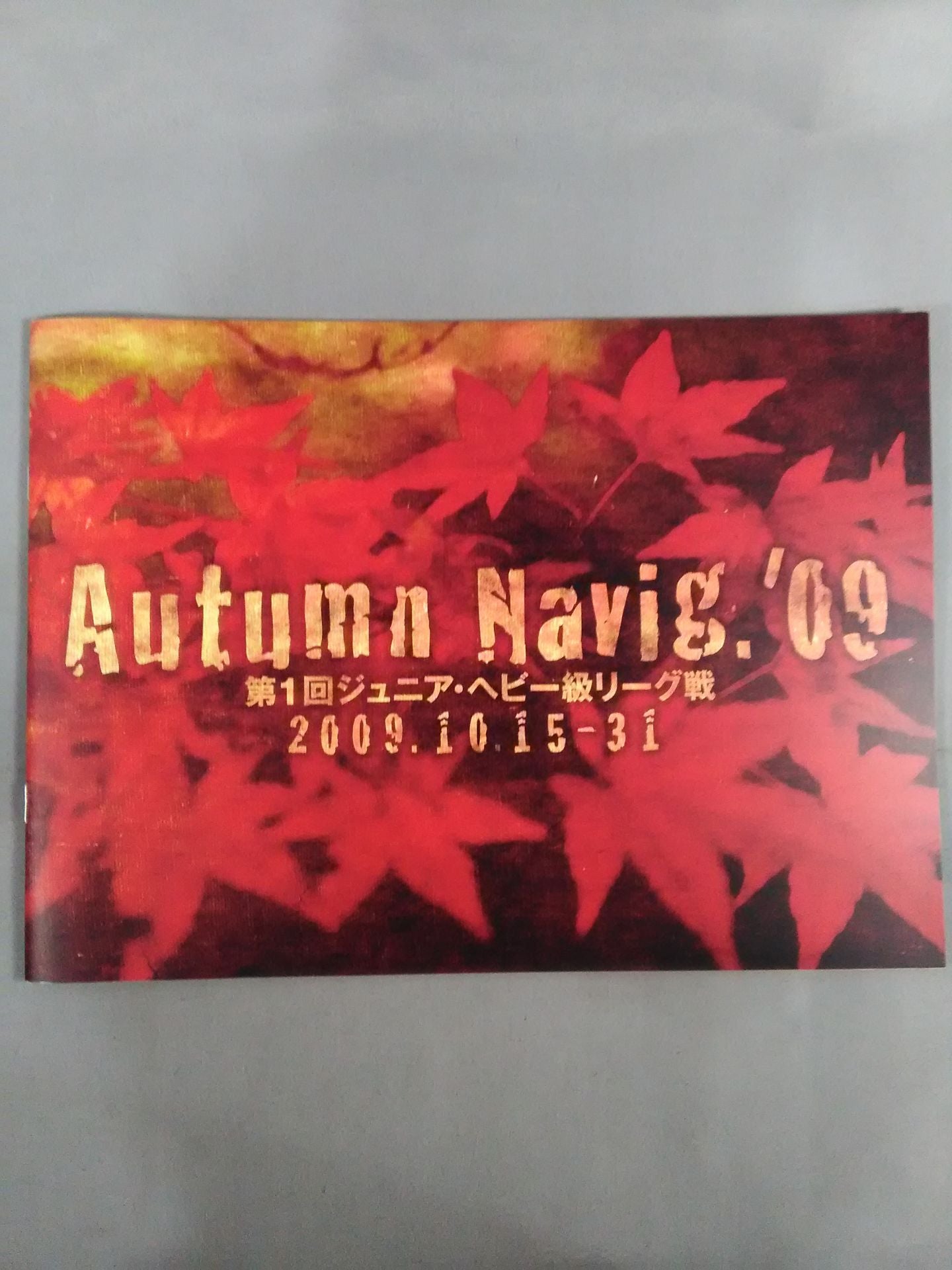 2009第1回ジュニア・ヘビー級リーグ戦 / Autumn Navig.’09