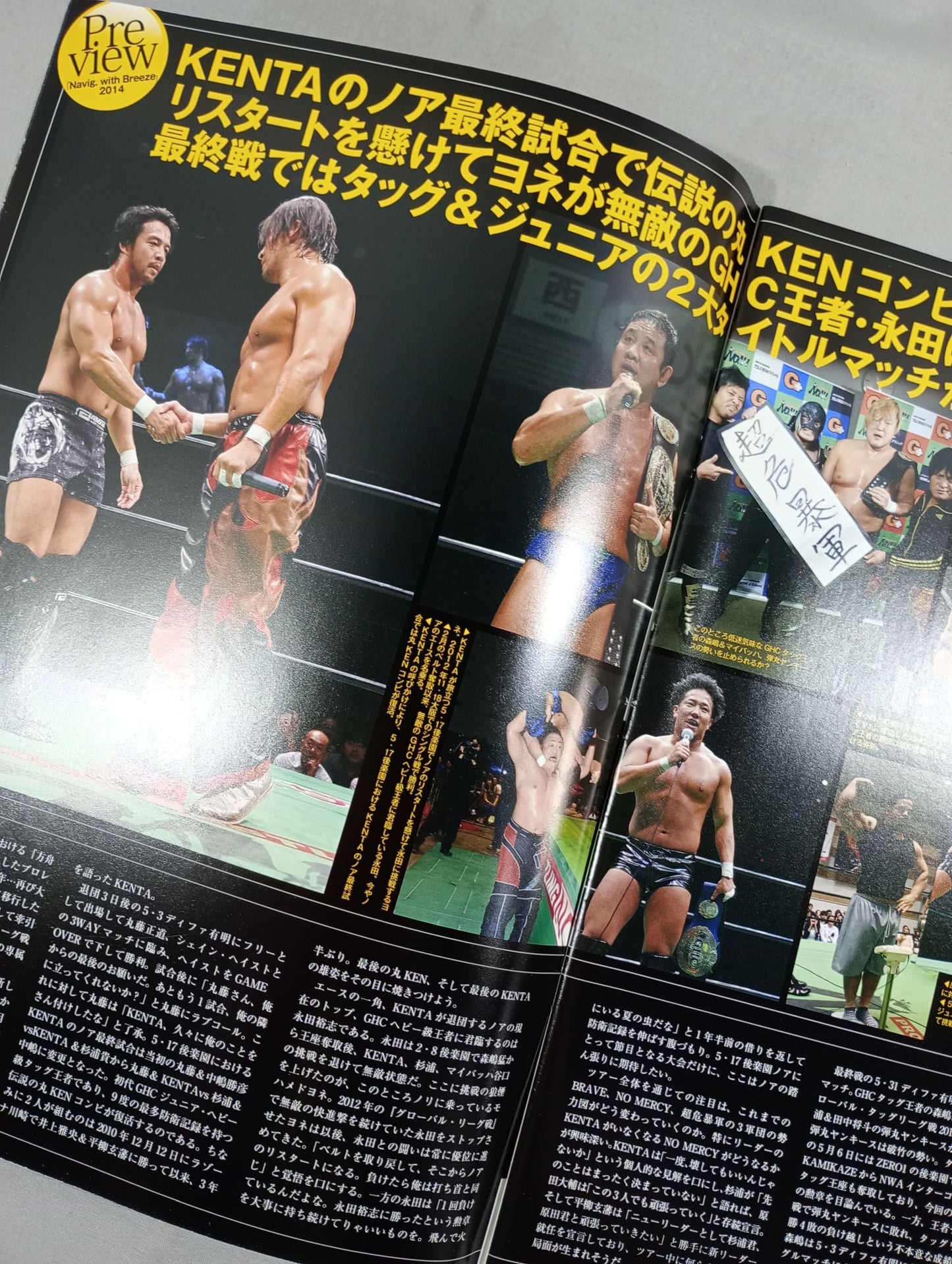 2014プロレスリング・ノア Vol.4