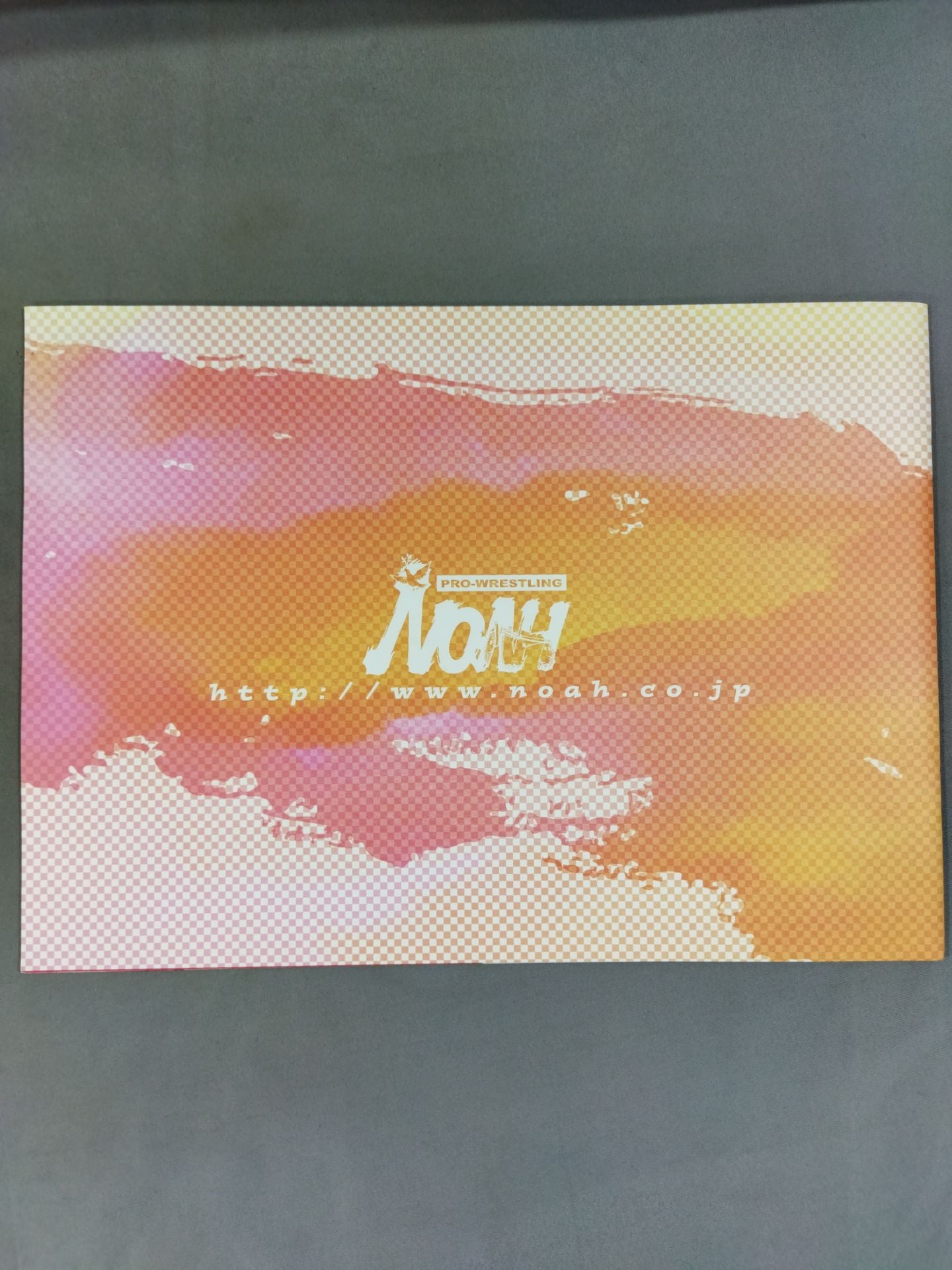 SPRING NAVIGATION’06