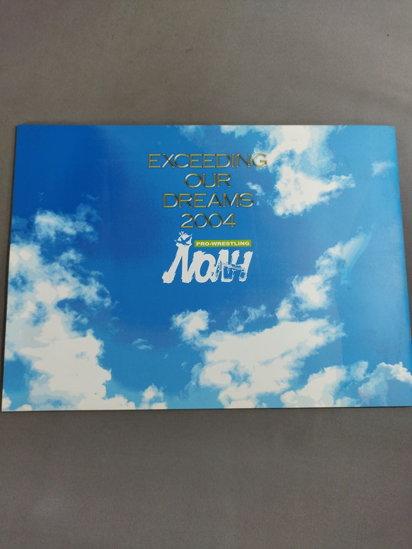 2004 EXCEEDING OUR DREAMS