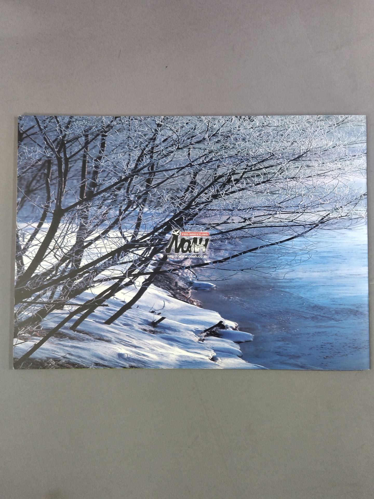 The First Navig'09 / 『Shiranui 為虎添翼』 ~為の巻~