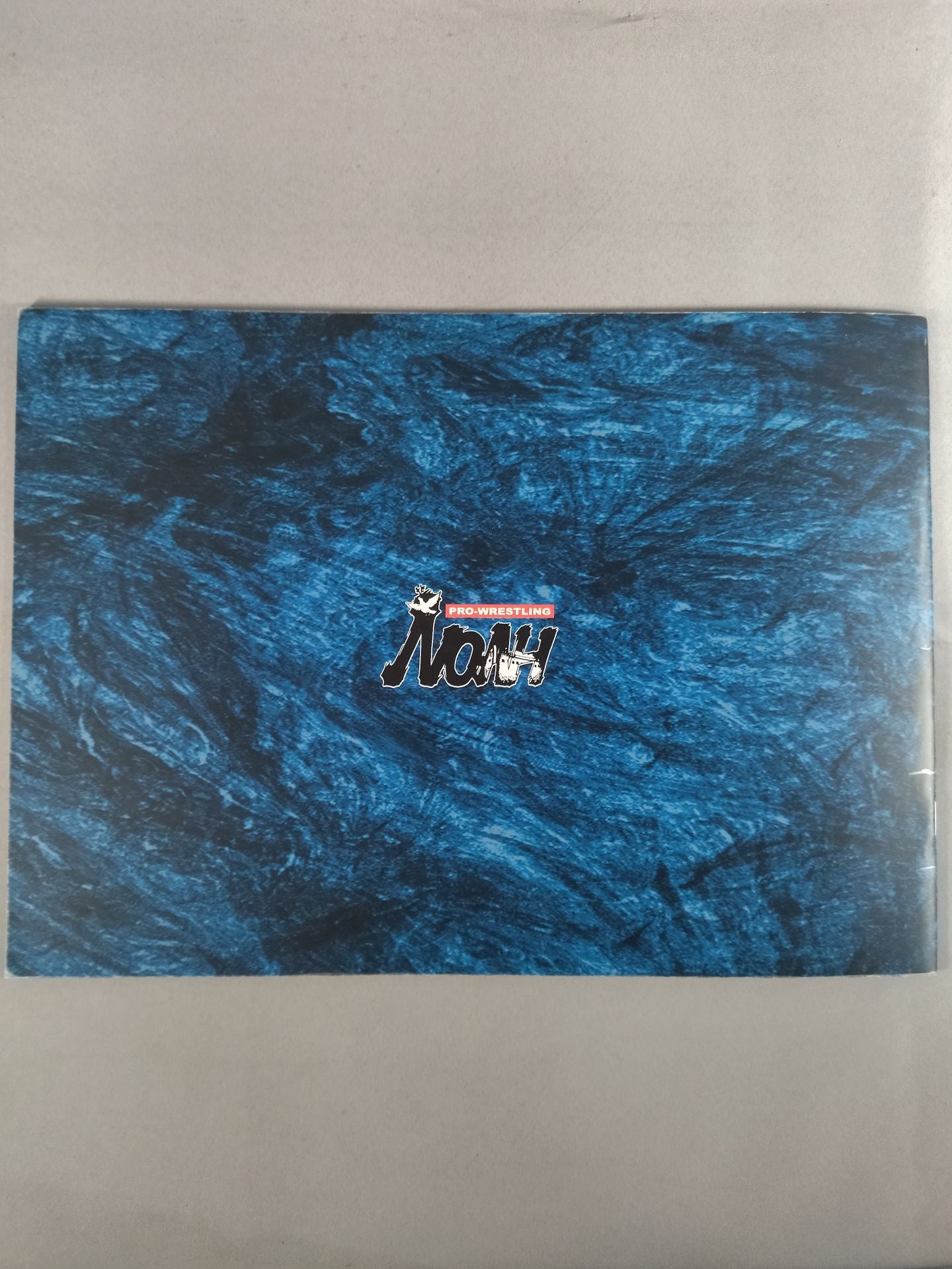 2001 Navigation in Raging Ocean