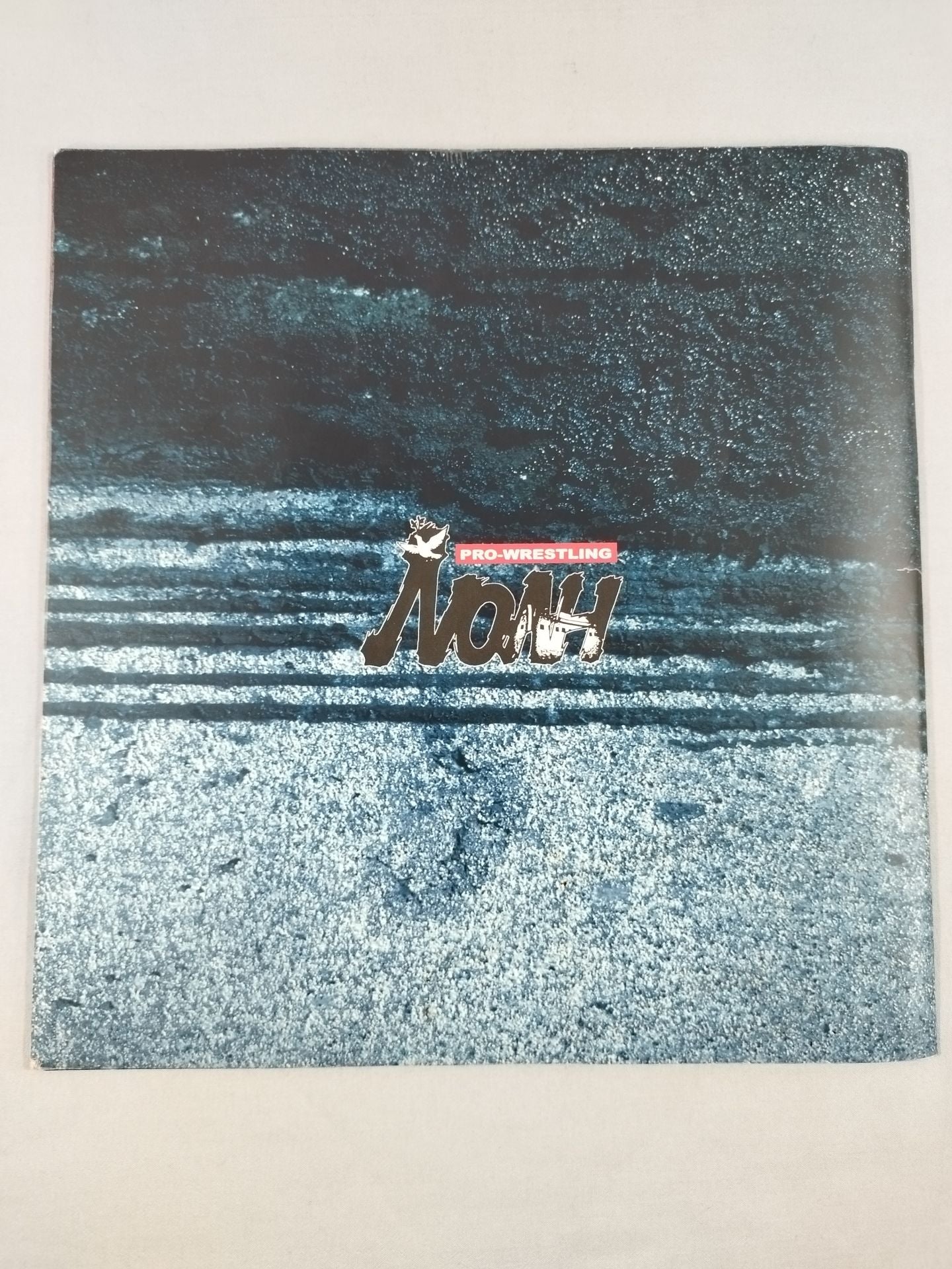 ACTIVATE THE GLOBE / Japan Budokan Tournament