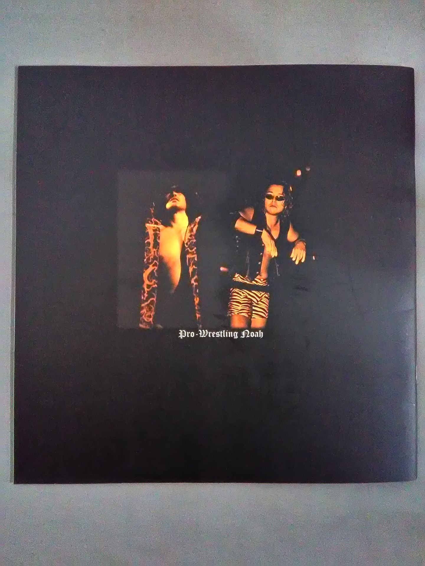 Navigation Against The Current '03 / Budokan Tournament