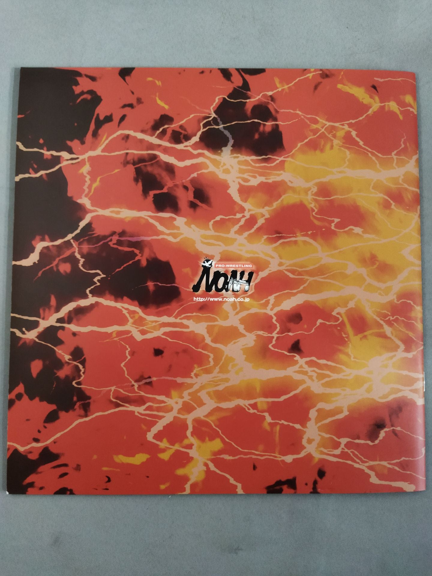 GREAT VOYAGE'07 in Tokyo / Japan Budokan Tournament