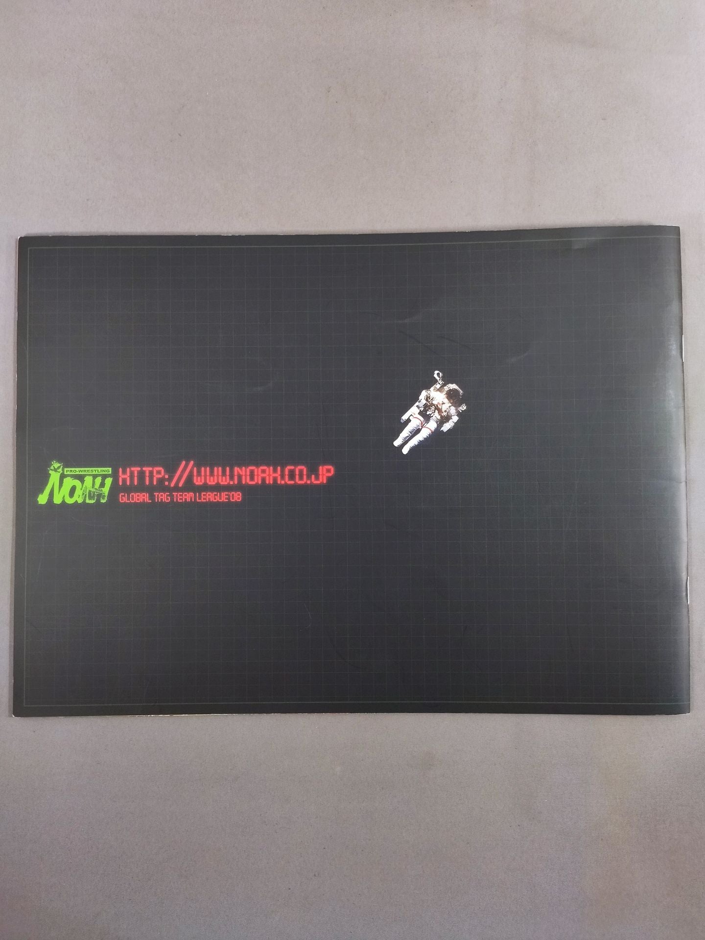 2008グローバル・タッグリーグ戦 / GLOBAL TAG TEAM LEAGUE’08
