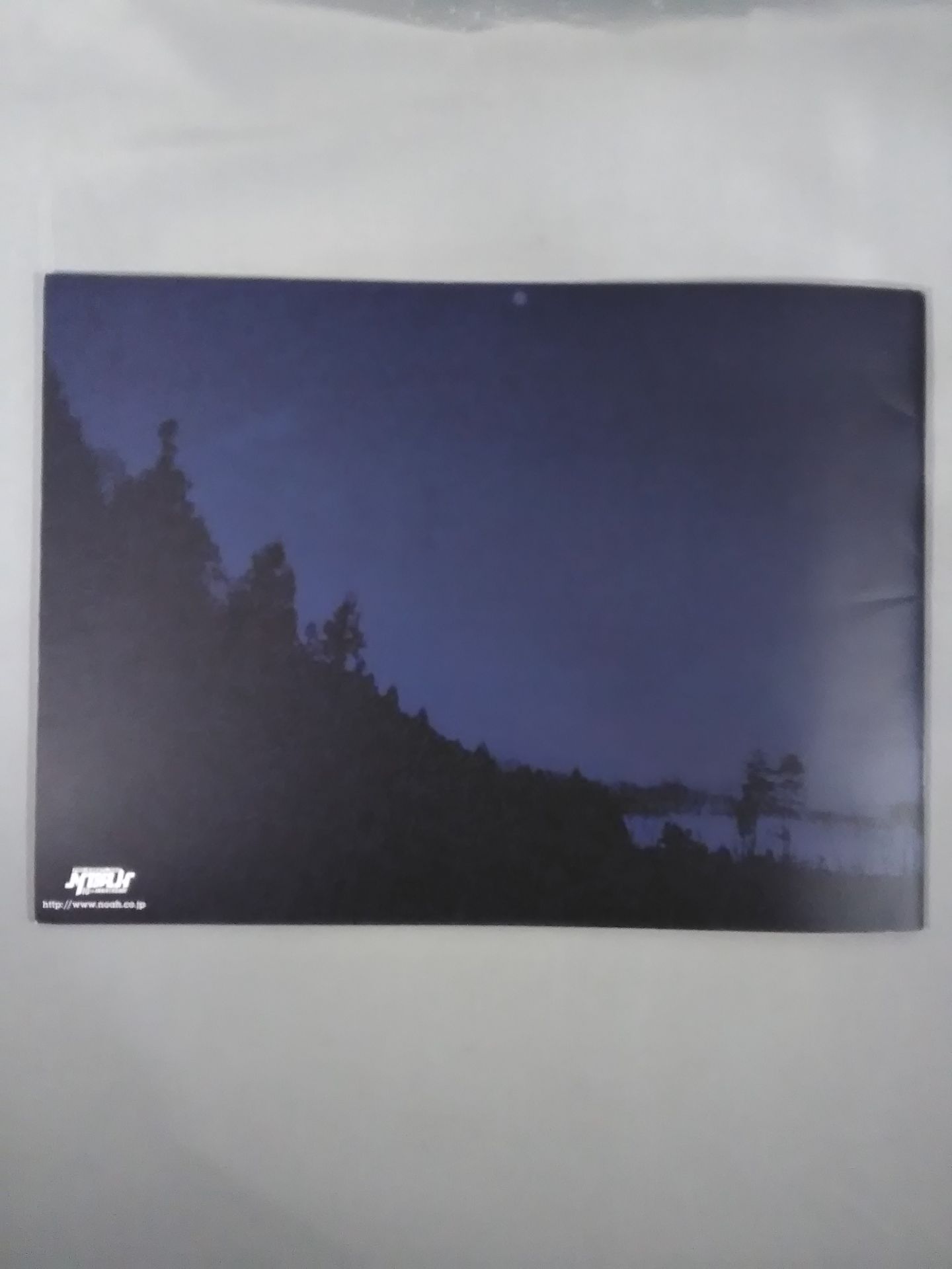 2010グローバルリーグ / GLOBAL LEAGUE’10