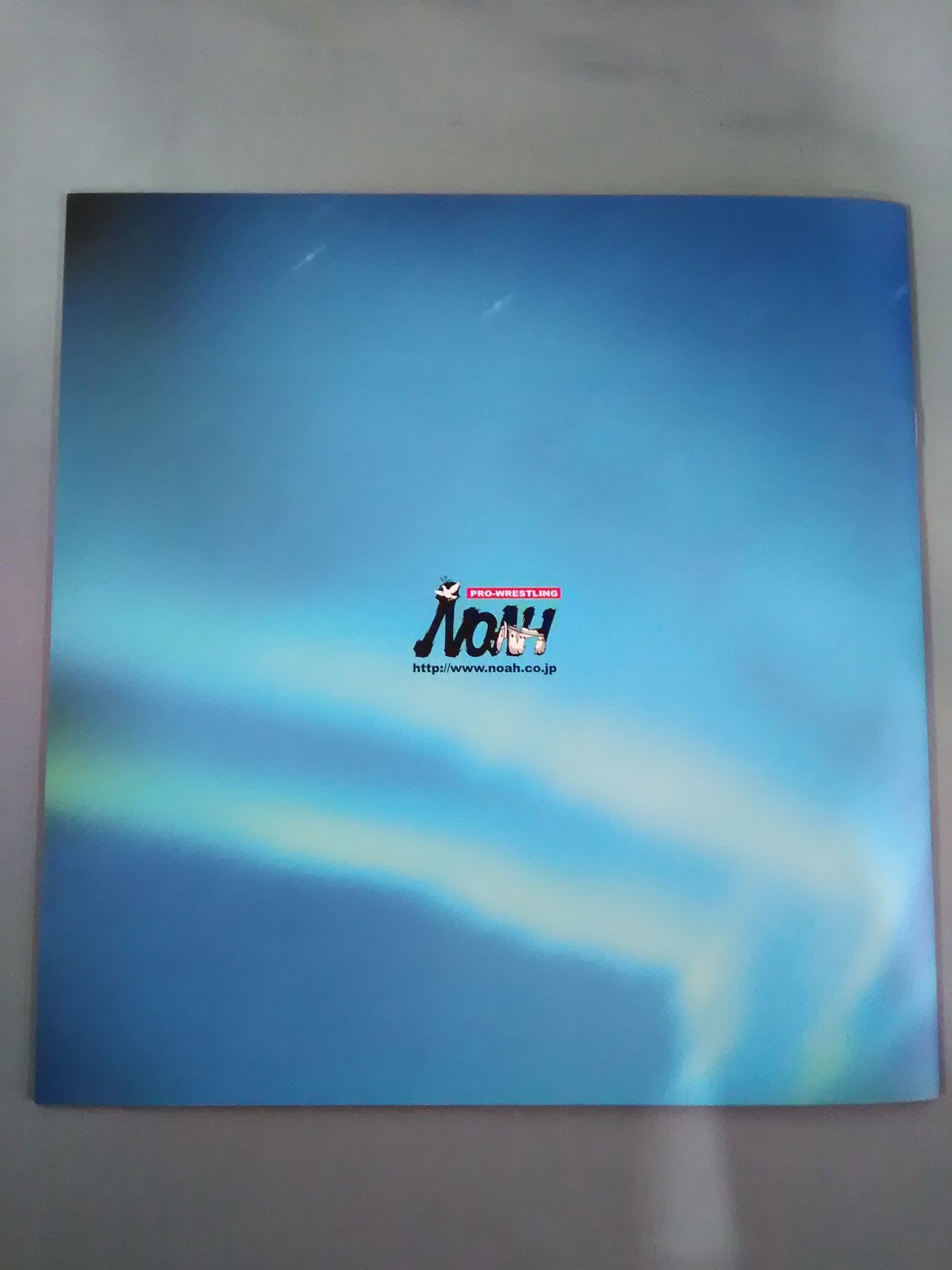 【半券付】Navigate for Evolution06~永源遥さよならツアー~【武道館大会】