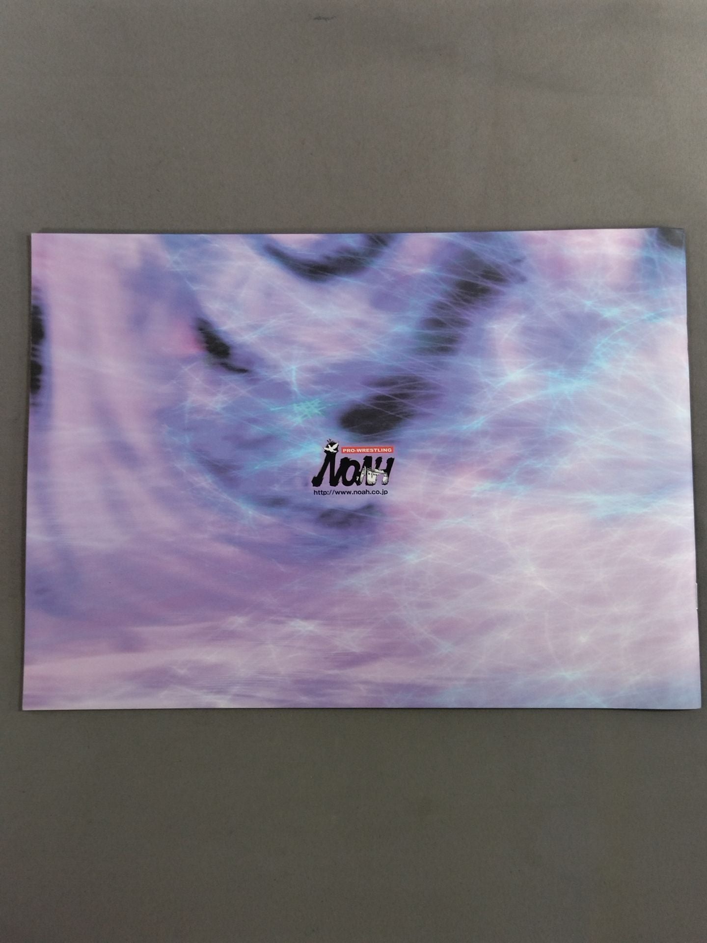 2008 The Second Navig.