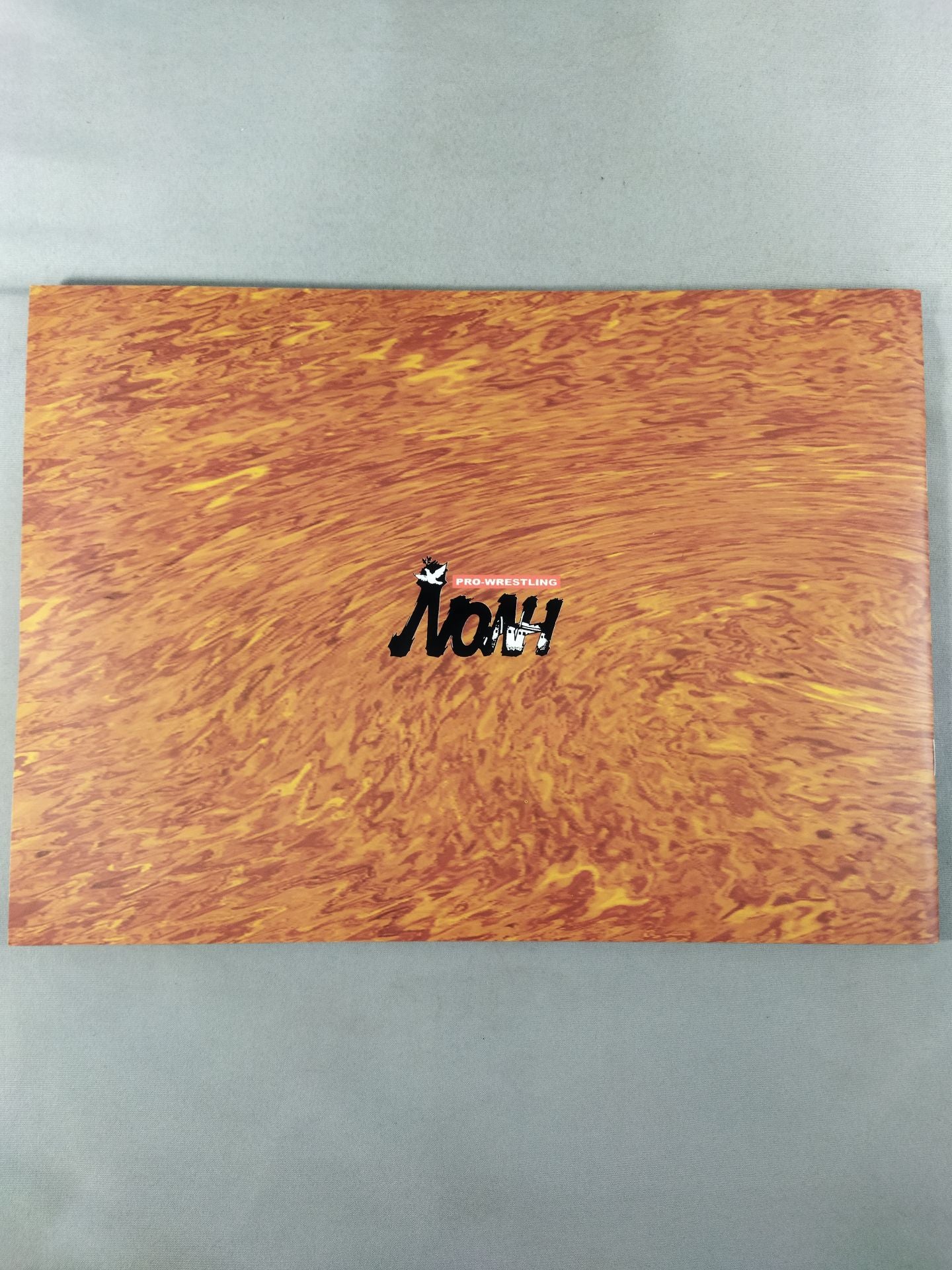 Navigation Against The Current 2002