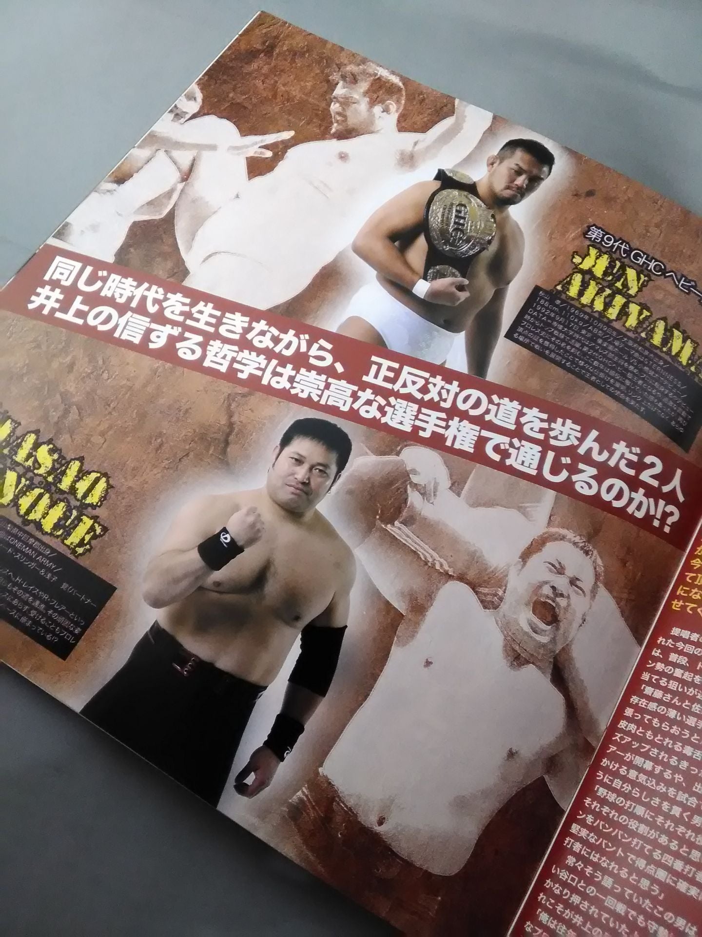 SPRING NAVIGATION’06 / 日本武道館大会