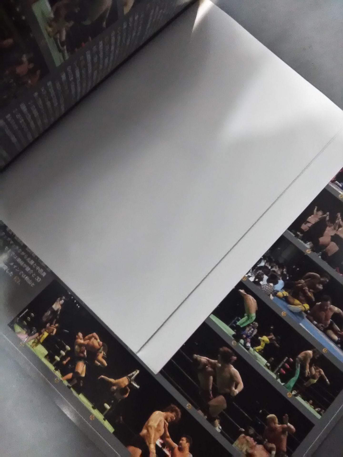 2010 Winter Navig ~ジョー樋口追悼興行~ / 日本武道館大会