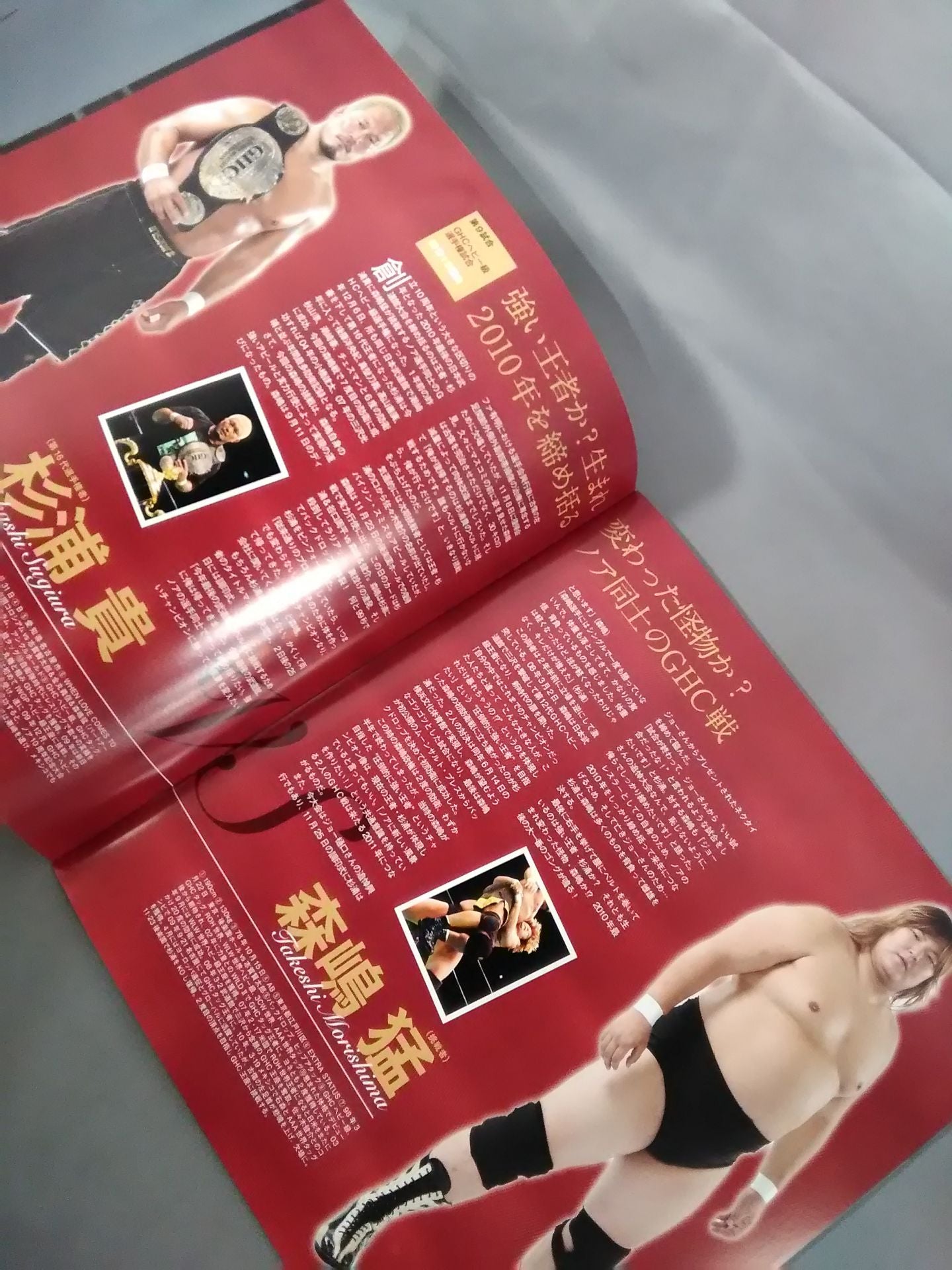 2010 Winter Navig ~ジョー樋口追悼興行~ / 日本武道館大会