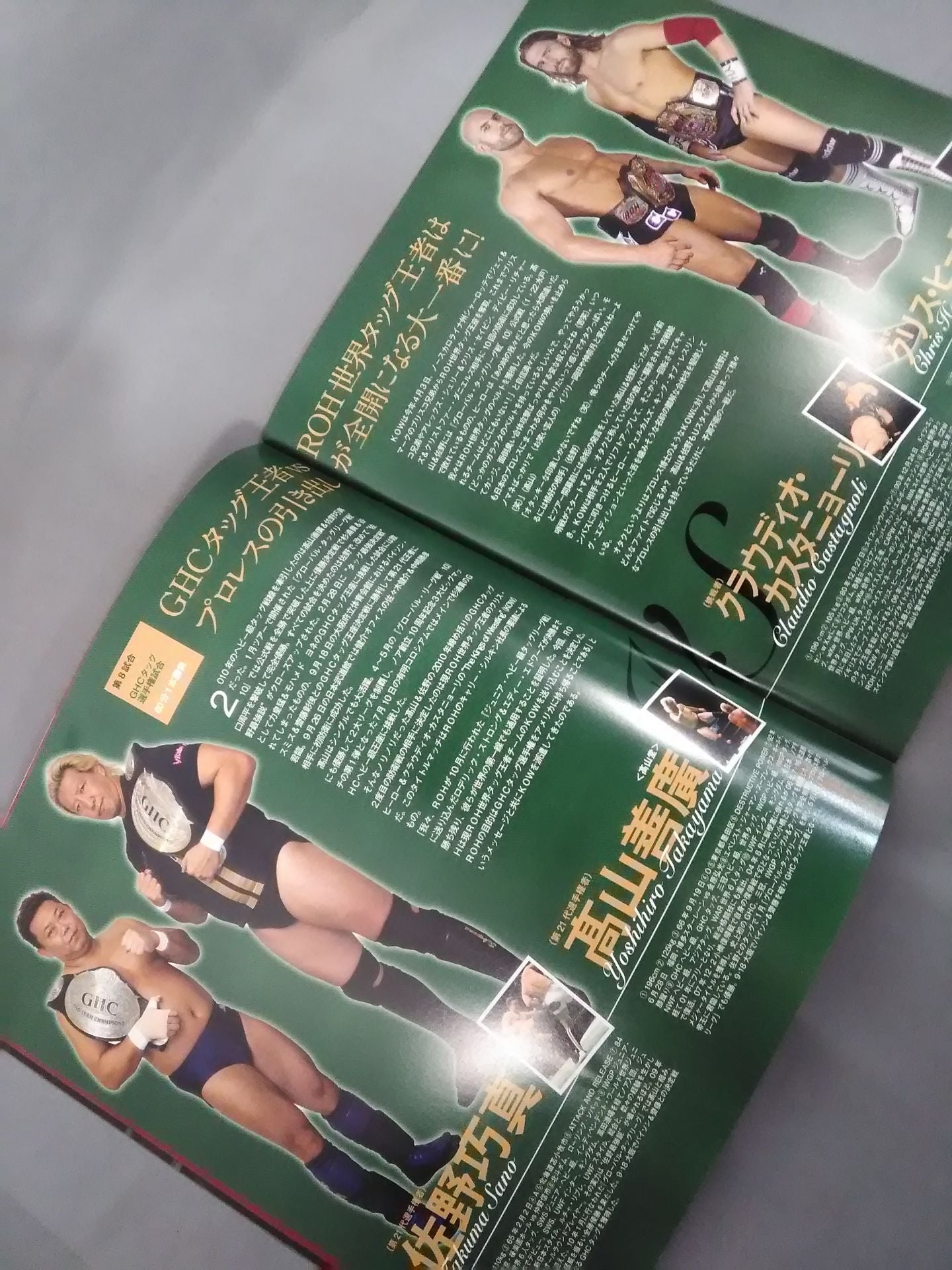 2010 Winter Navig ~ジョー樋口追悼興行~ / 日本武道館大会