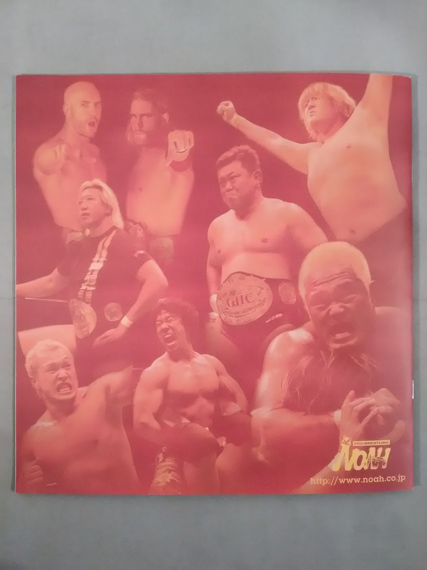 2010 Winter Navig ~ジョー樋口追悼興行~ / 日本武道館大会