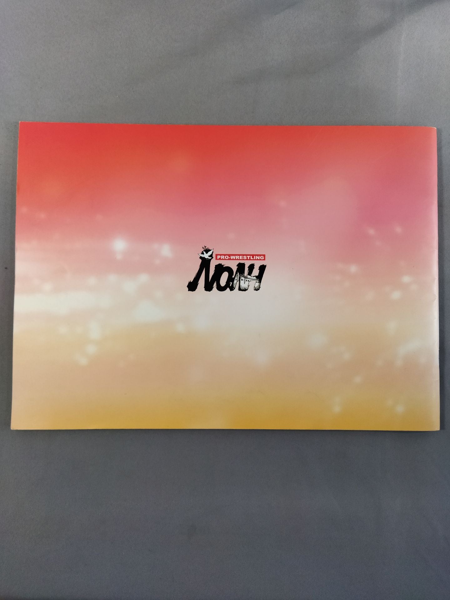 The First Navigation ’04