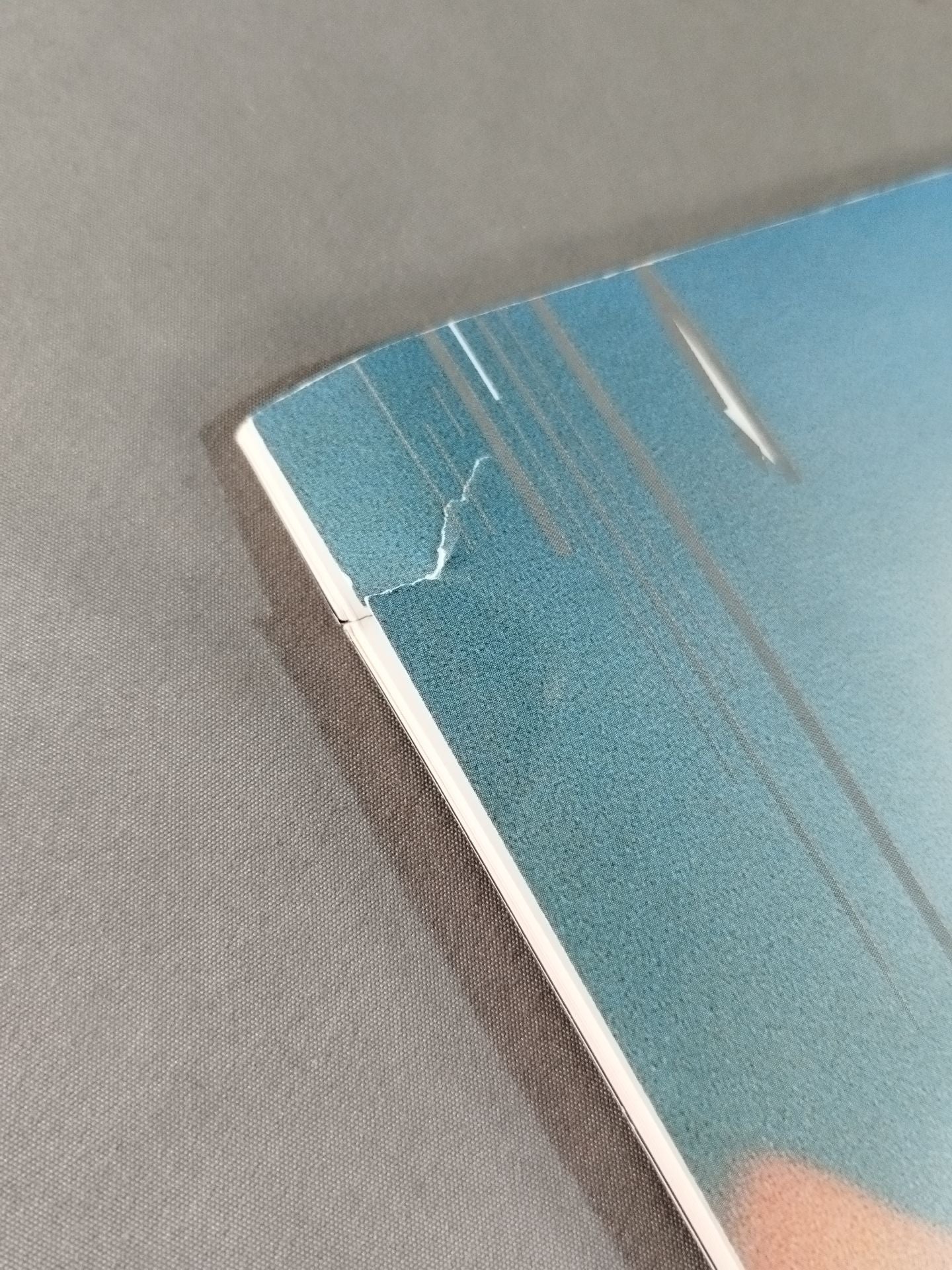 FIGHTING INTEGRATION 5th