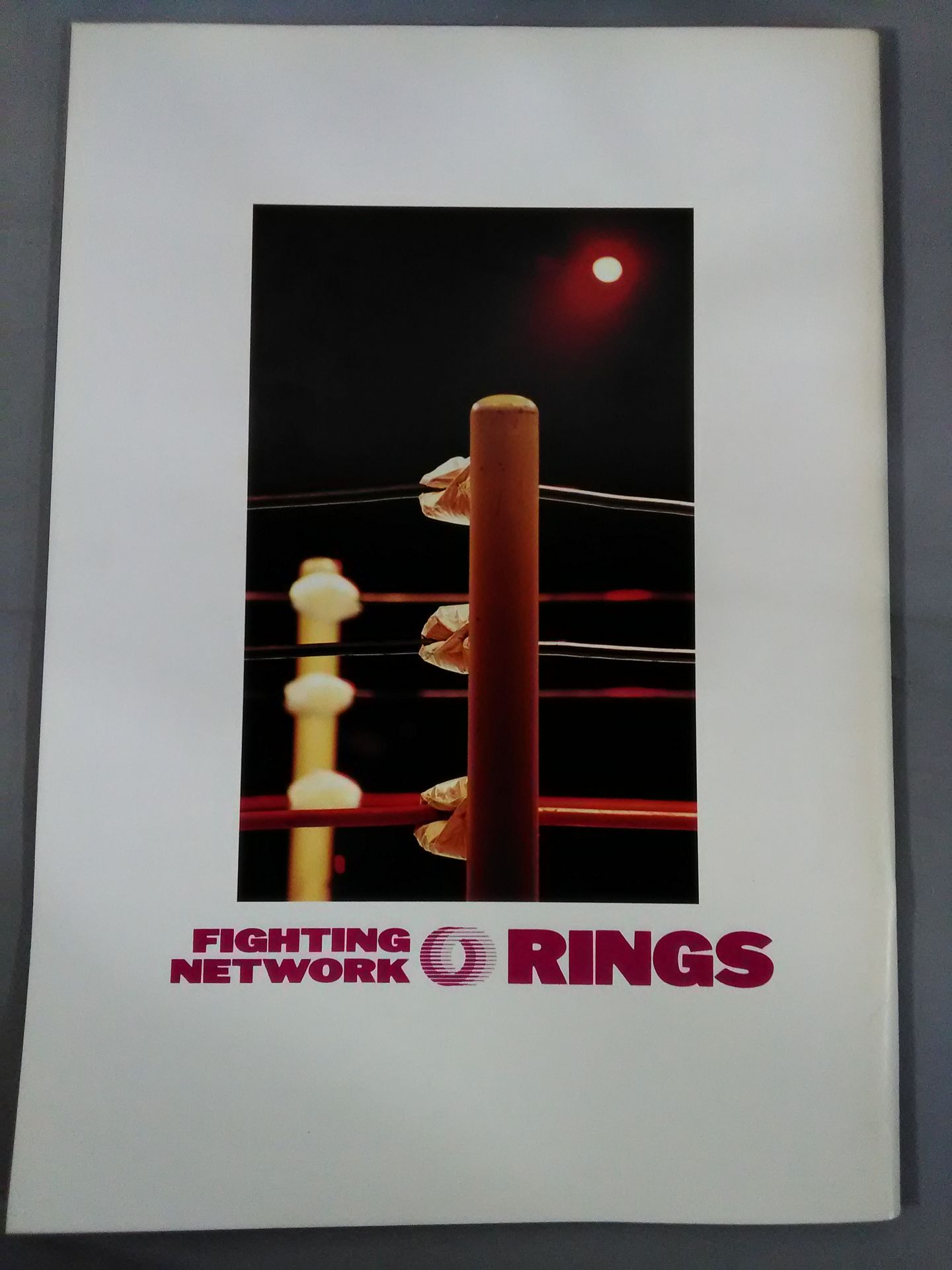 前田日明デビュー15周年記念大会 BATTLE DIMENSION’93 TOKYO#3