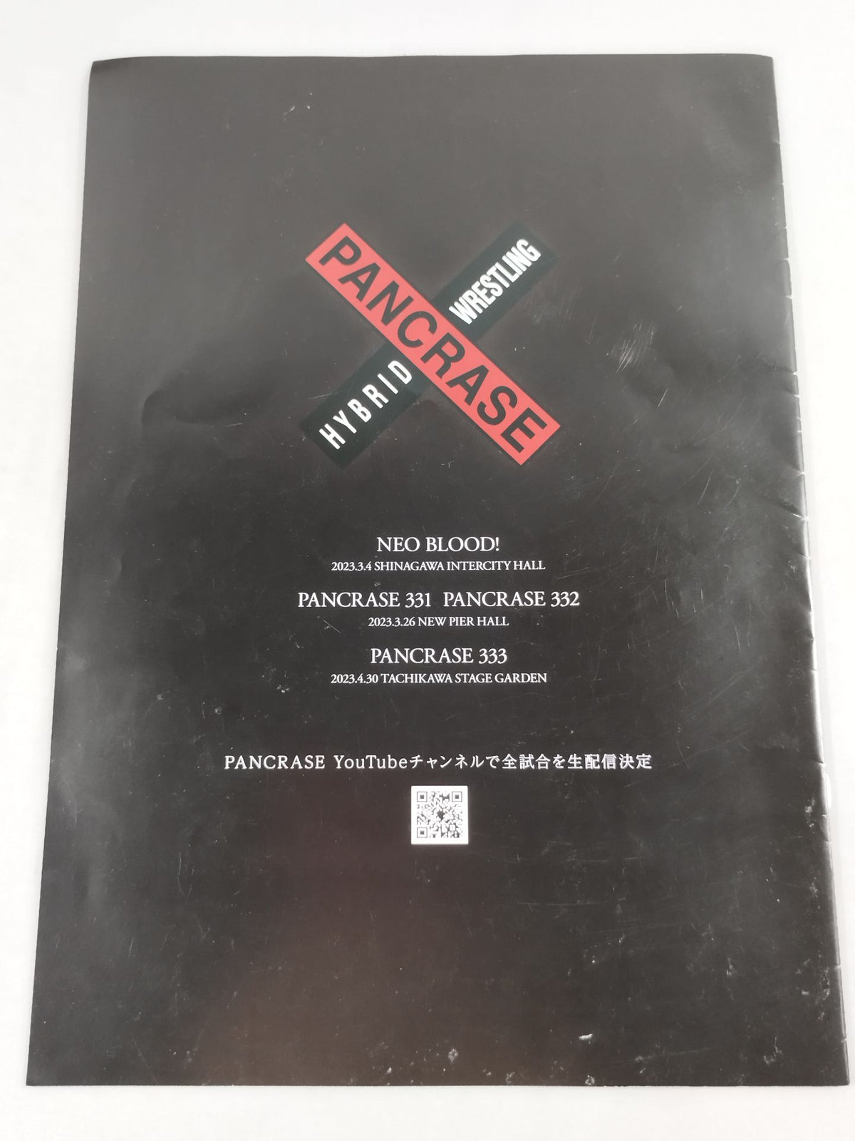 PANCRASE.330