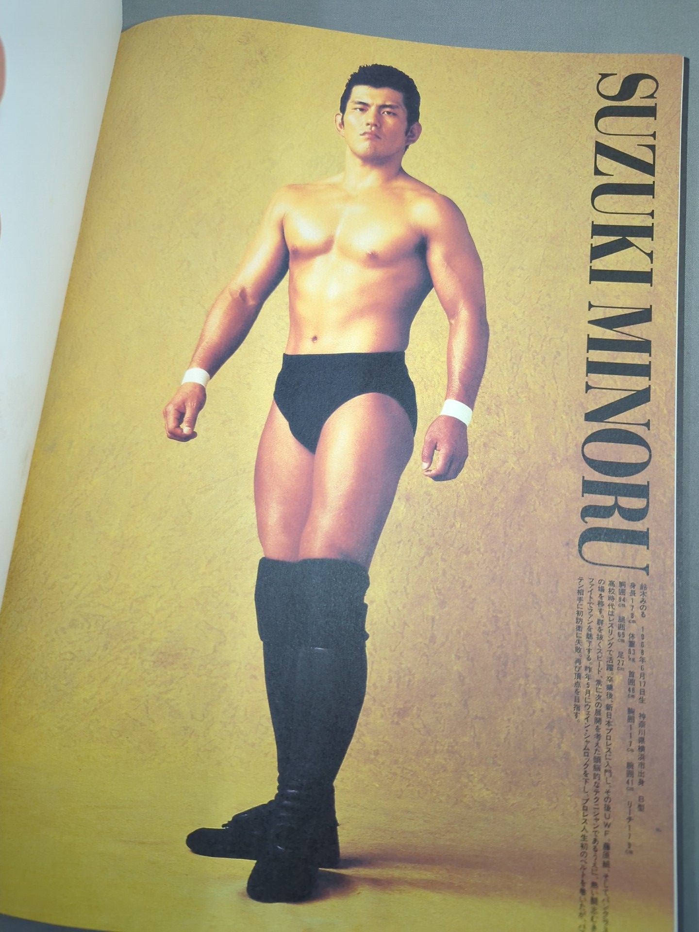 パンクラス / HYBRID Vol.4 PANCRASE TOUR 1996 TRUTH