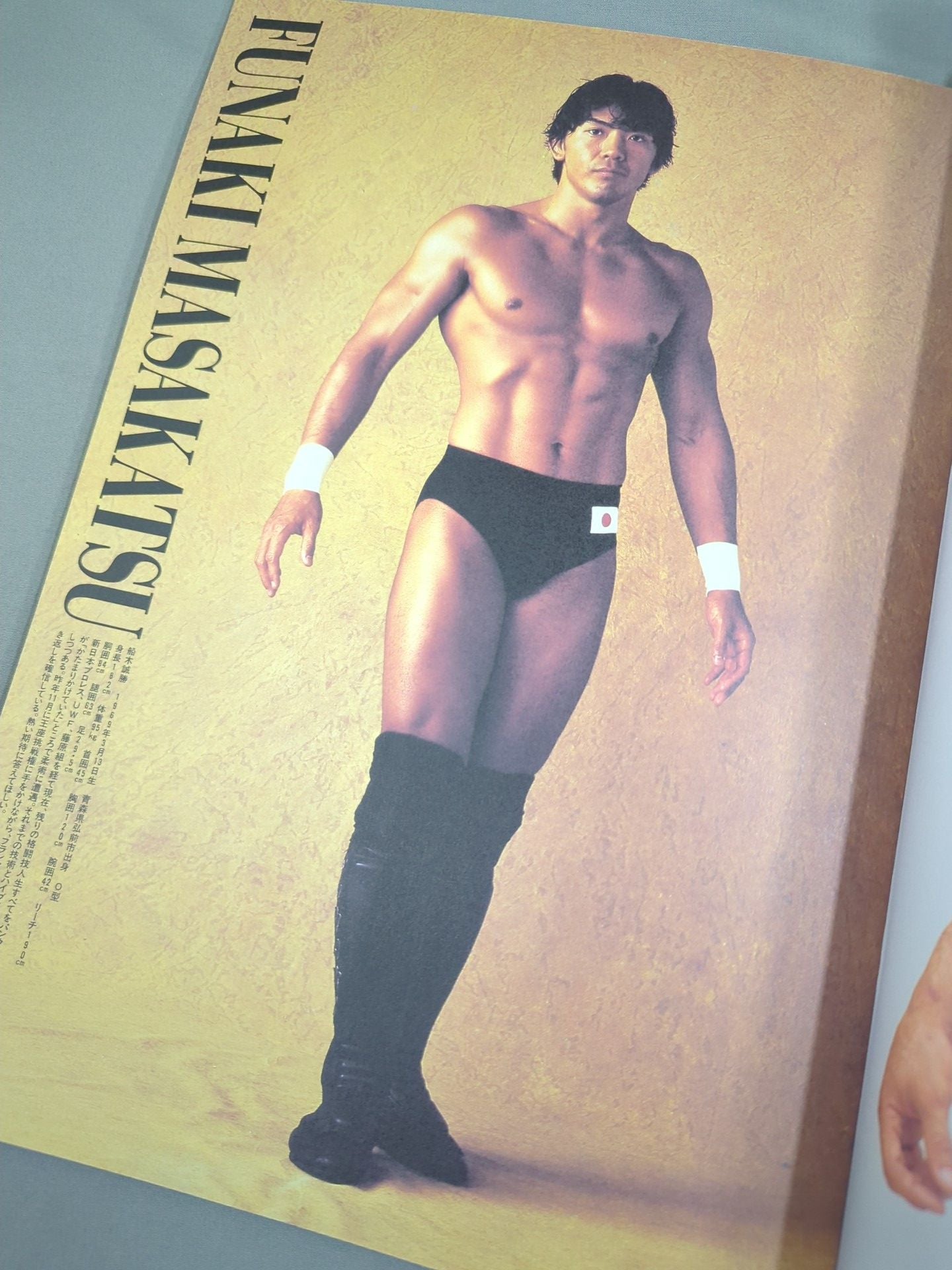 パンクラス / HYBRID Vol.4 PANCRASE TOUR 1996 TRUTH
