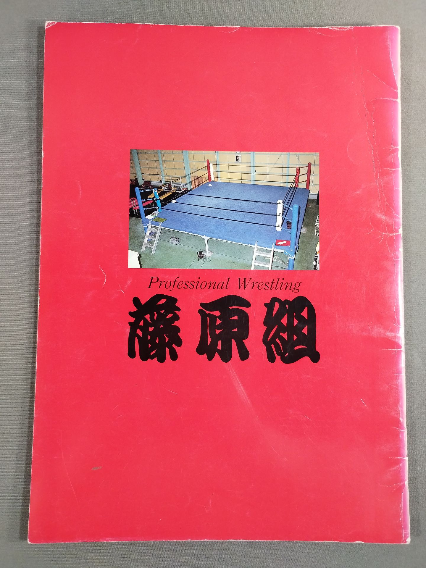 藤原組 ONE FOR ALL AND ALL FOR ONE 東京ベイNKホール