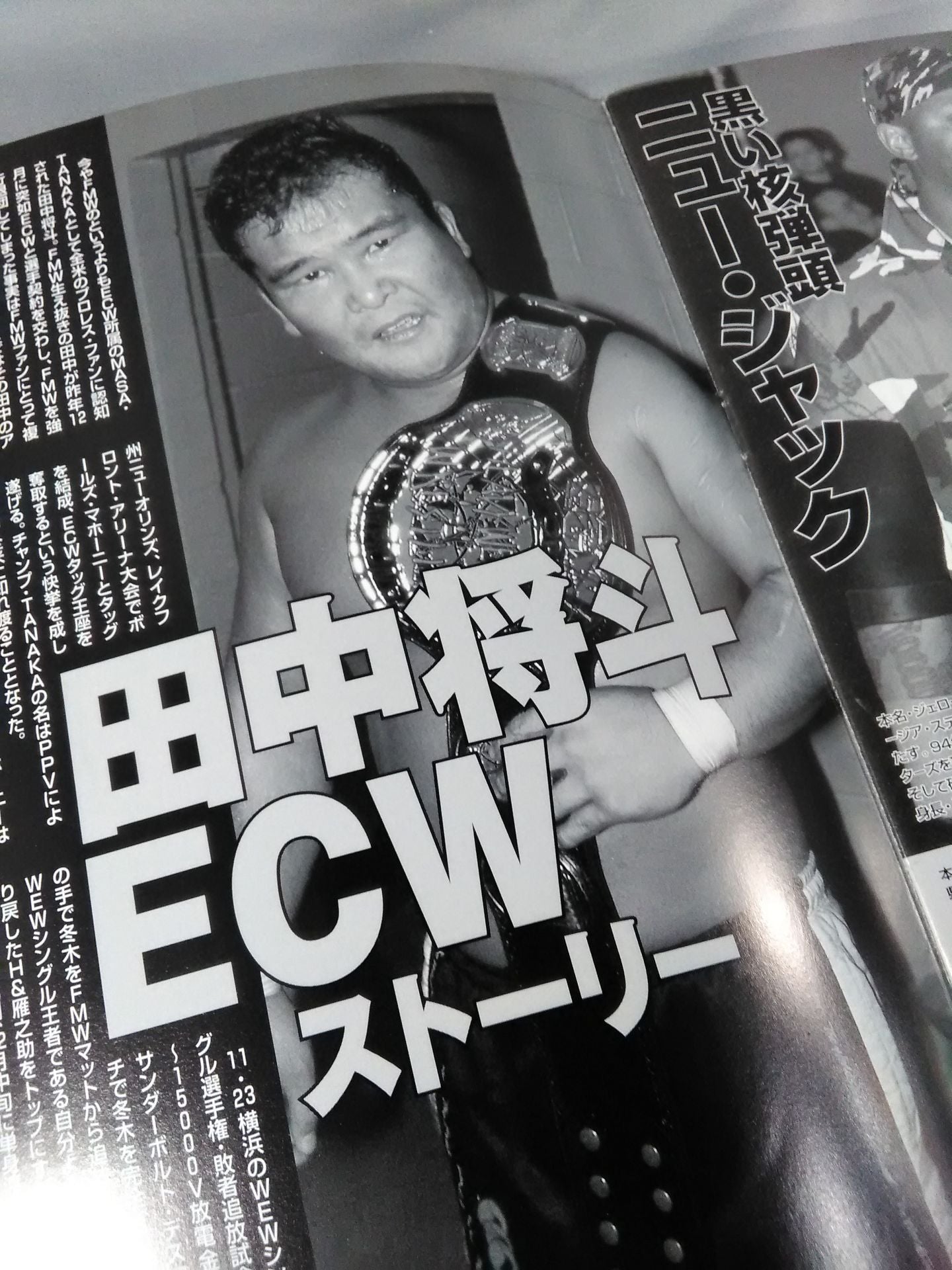 FMW GOLDEN SERIES / ゴールデンシリーズ