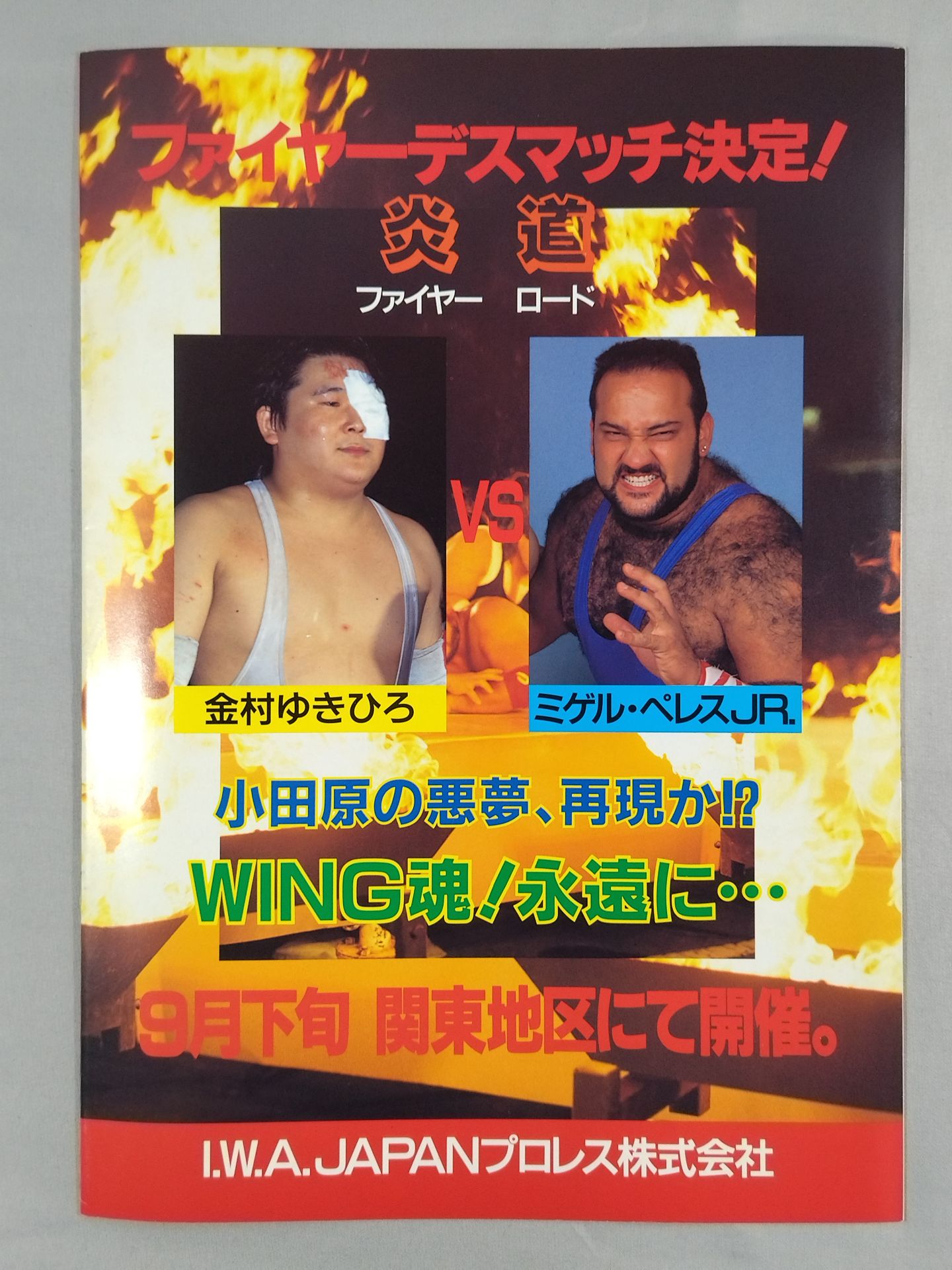 IWA JAPAN Pro Wrestling