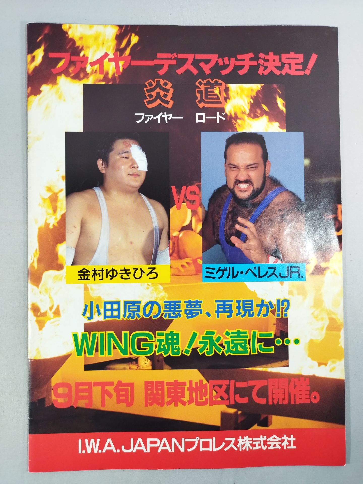 IWA JAPAN プロレス