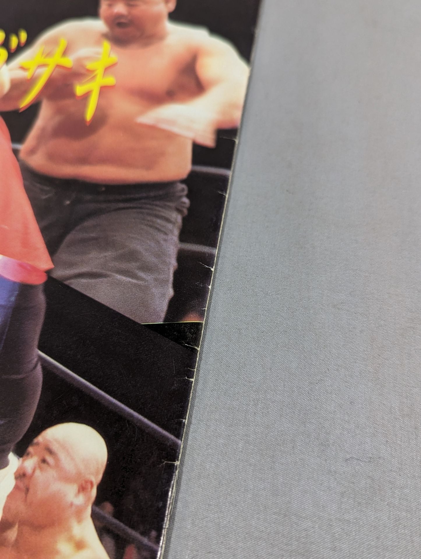 BJW 大日本プロレス/プロレス界を震撼させる格闘の戦士、ここに現わる