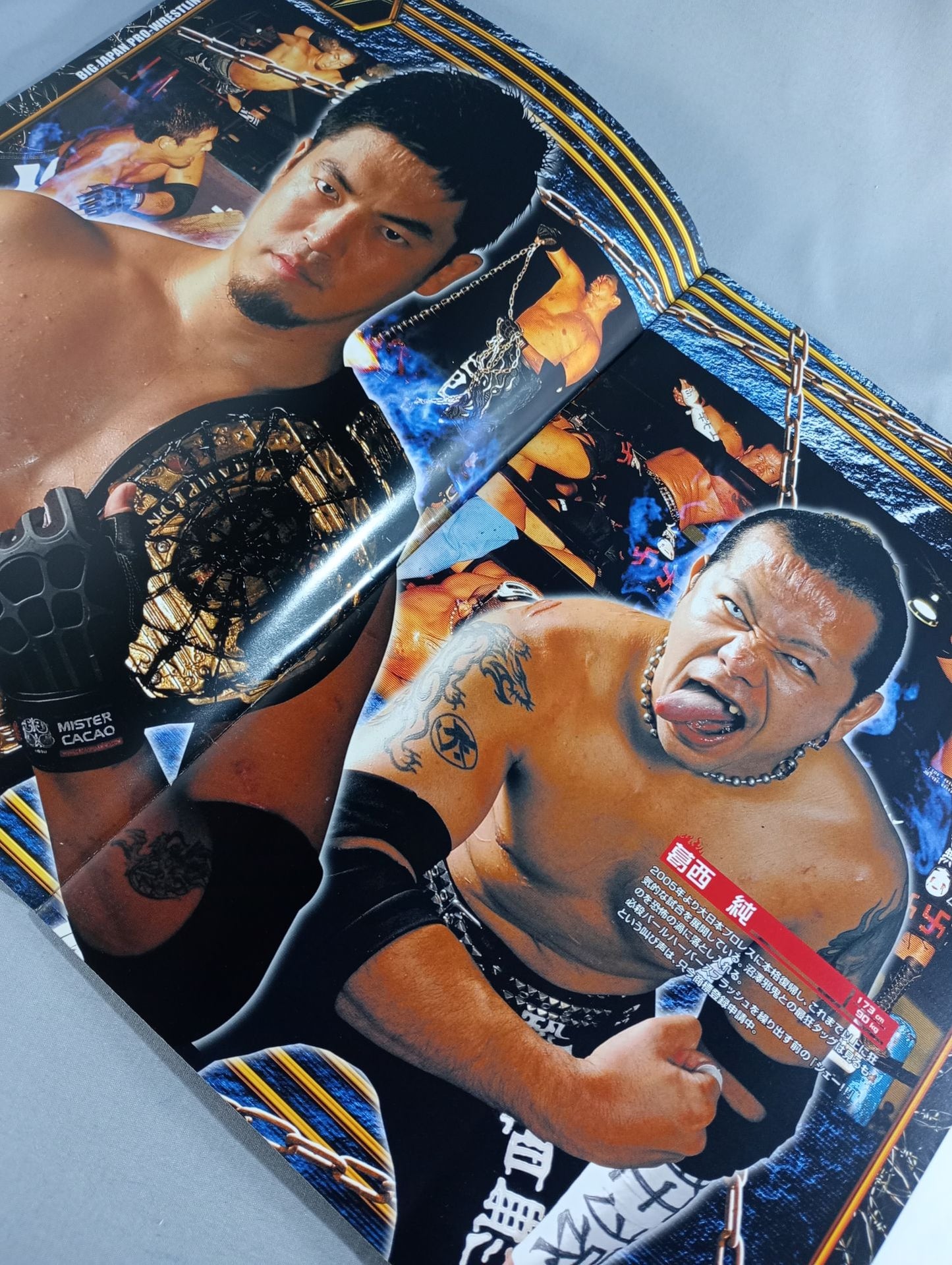 Big Japan Pro Wrestling (2006)