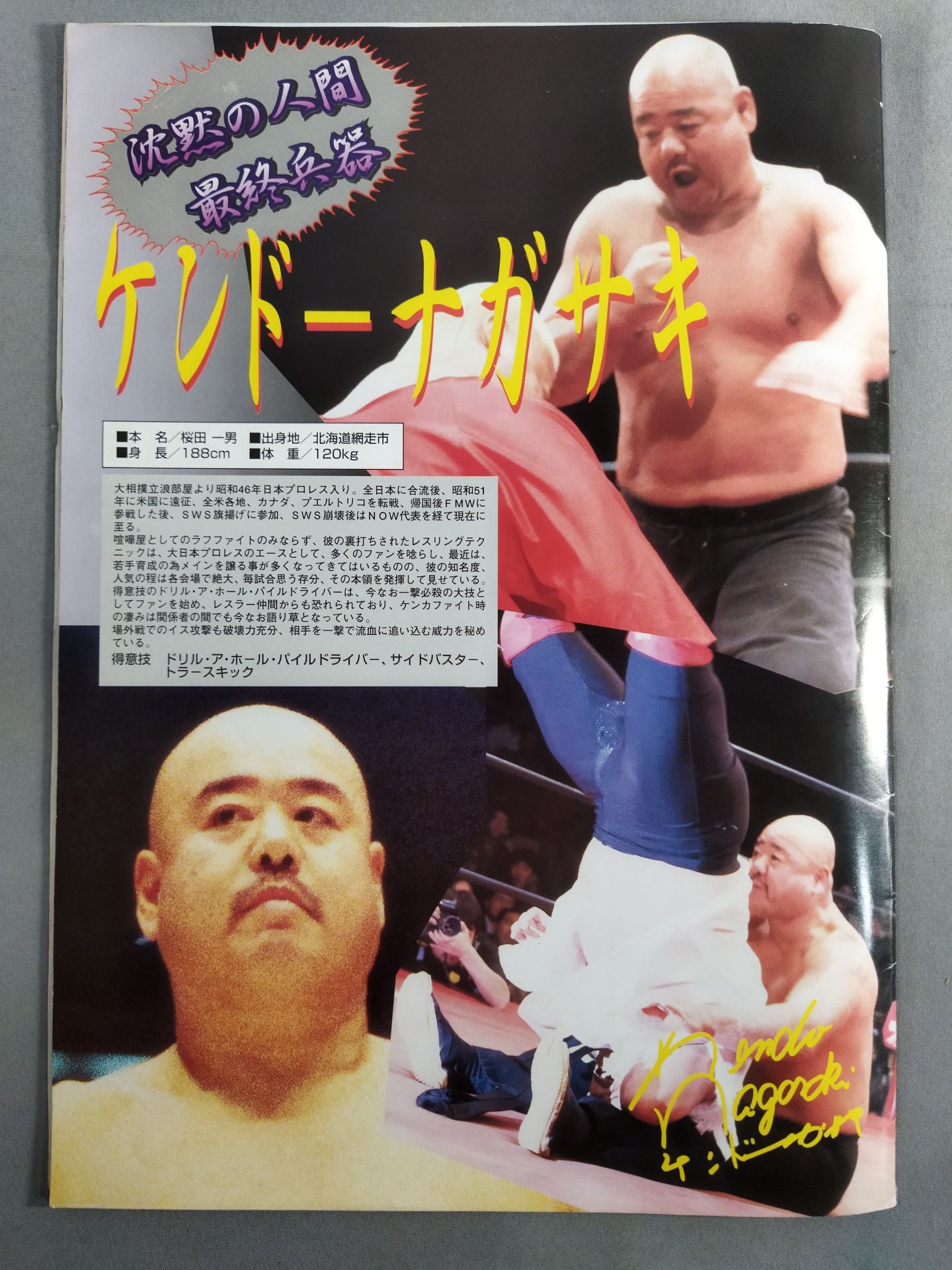 BJW 大日本プロレス / プロレス界を震撼させる格闘の戦士、ここに現わる