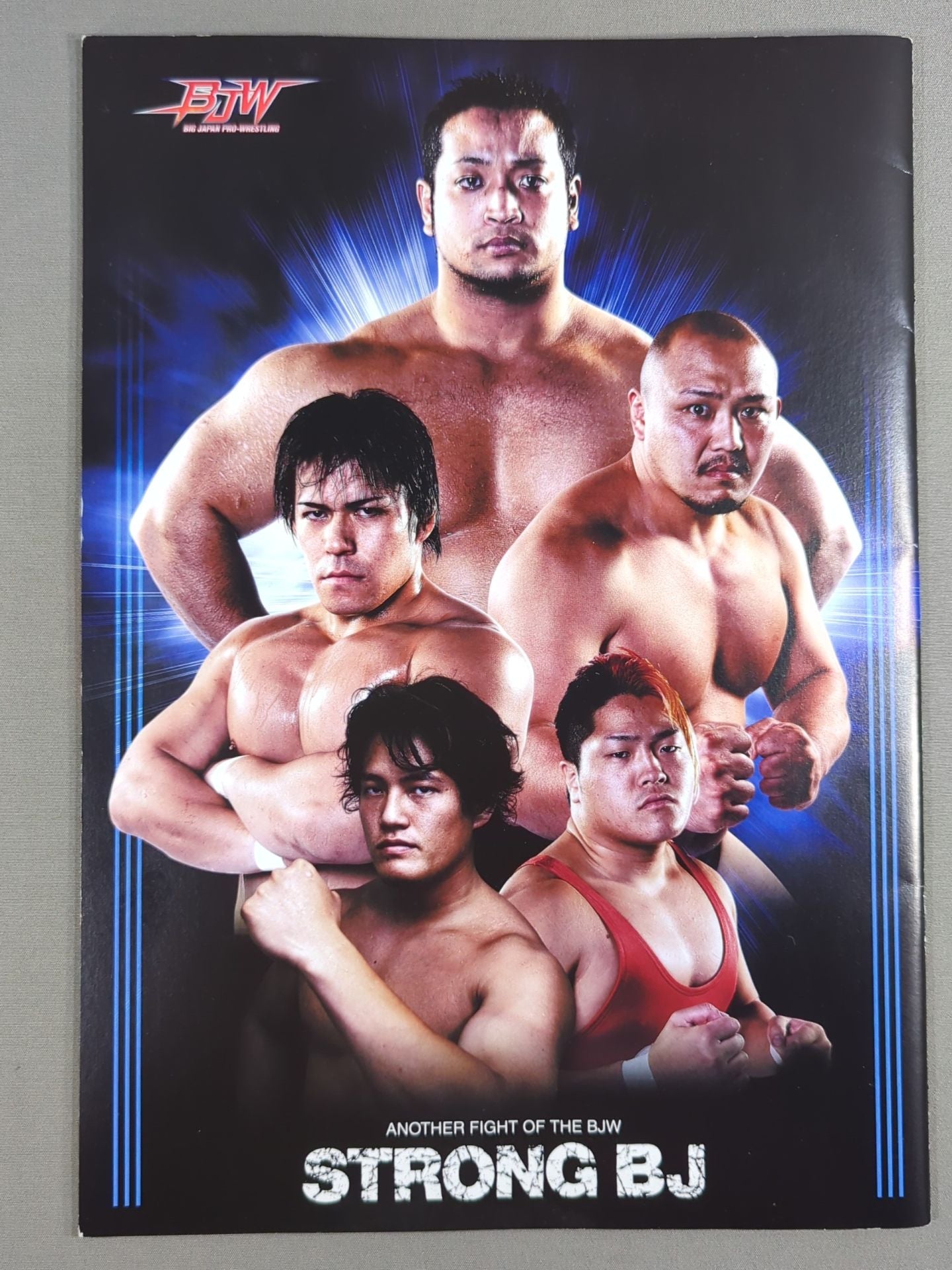 Big Japan Pro Wrestling BIG JAPAN PRO-Wrestling (2011)