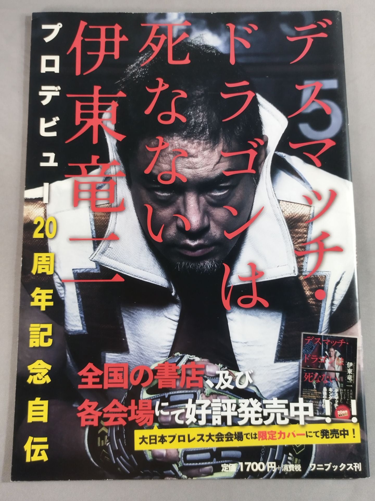 Big Japan Pro Wrestling Official Guidebook 2020 Vol.1