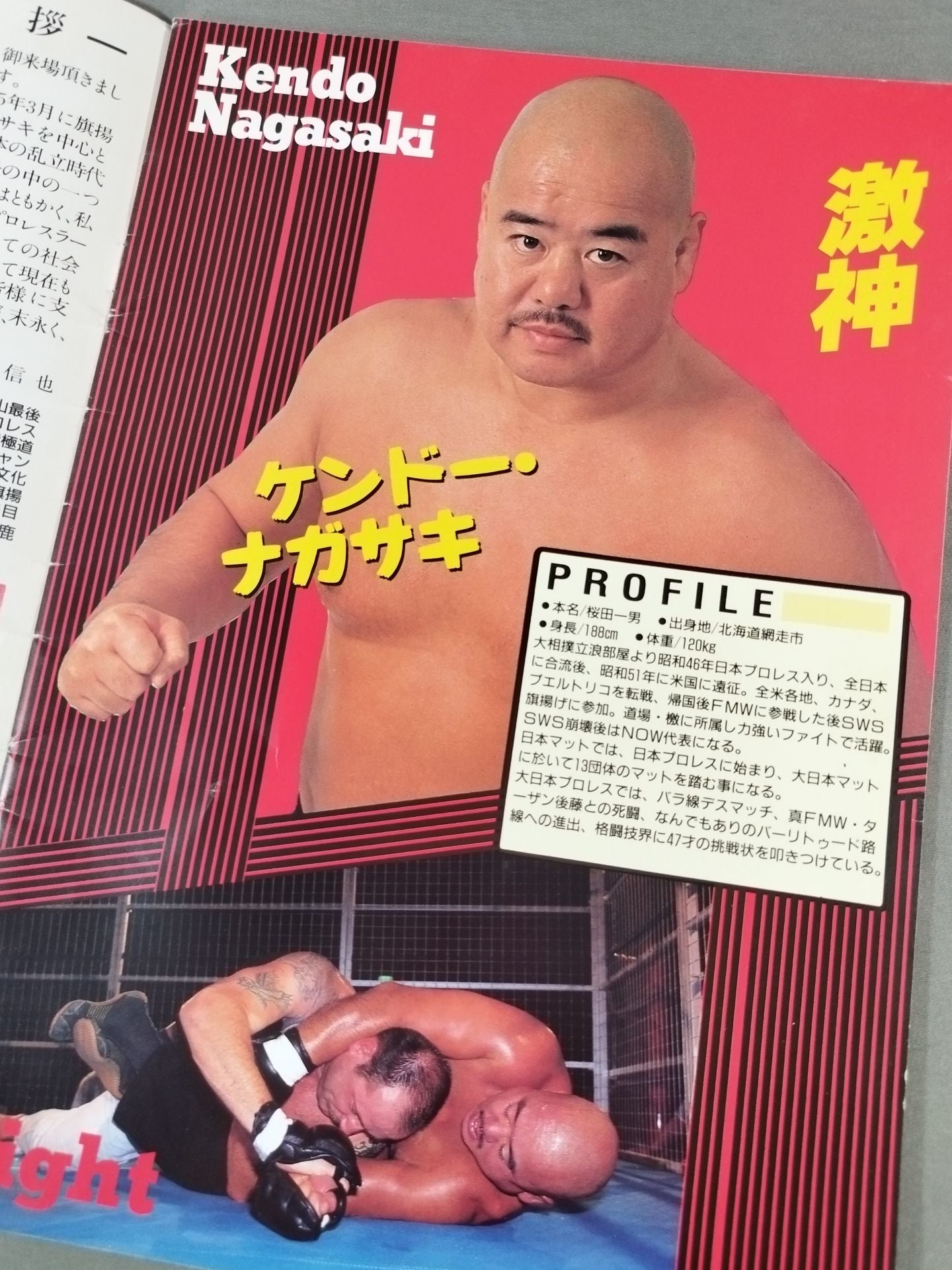 Big Japan Pro Wrestling Box Office Co., Ltd. BIG・JAPAN