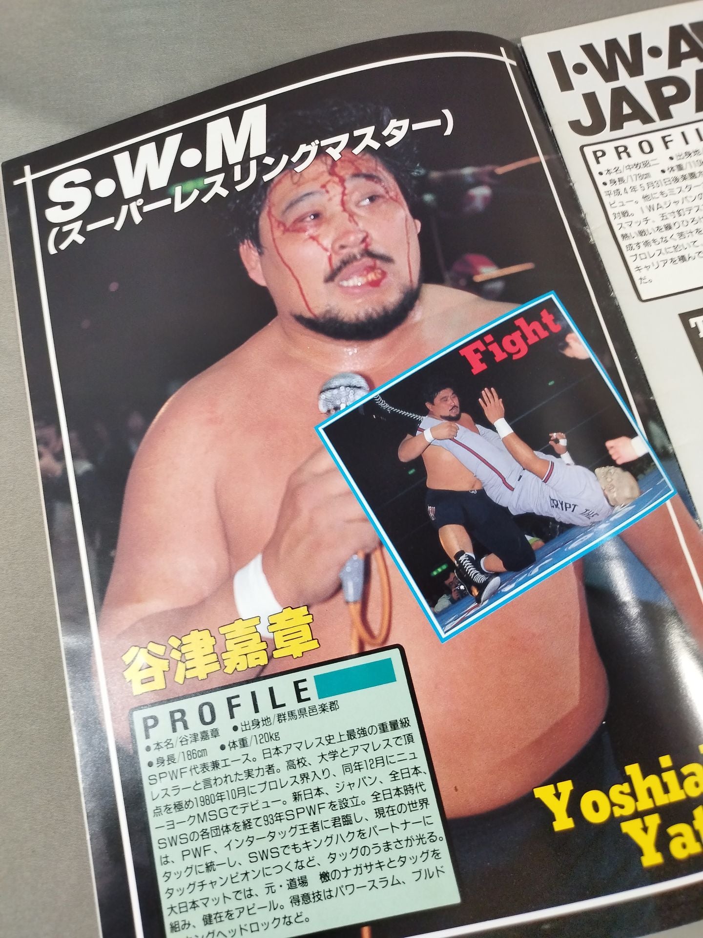 Big Japan Pro Wrestling Box Office Co., Ltd. BIG・JAPAN